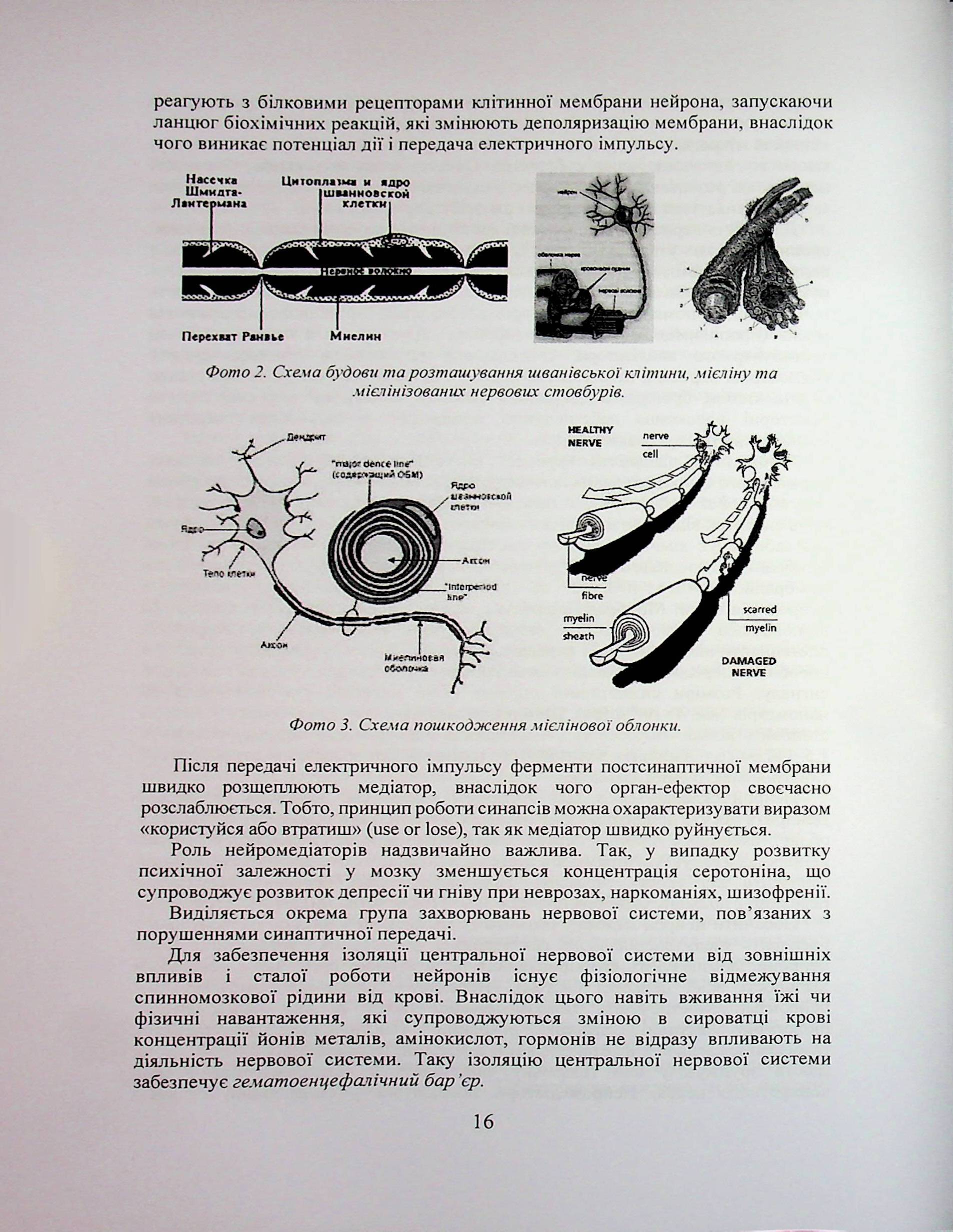 Людські недуги, як хвороби тіла, психіки, характеру і виховання — фото 20