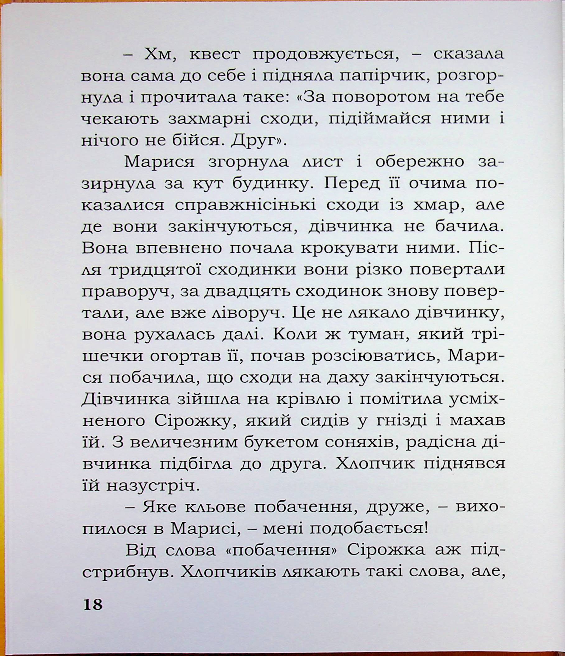 Лицар Сірожка та Чорний лицар. Книга 4 — фото 18