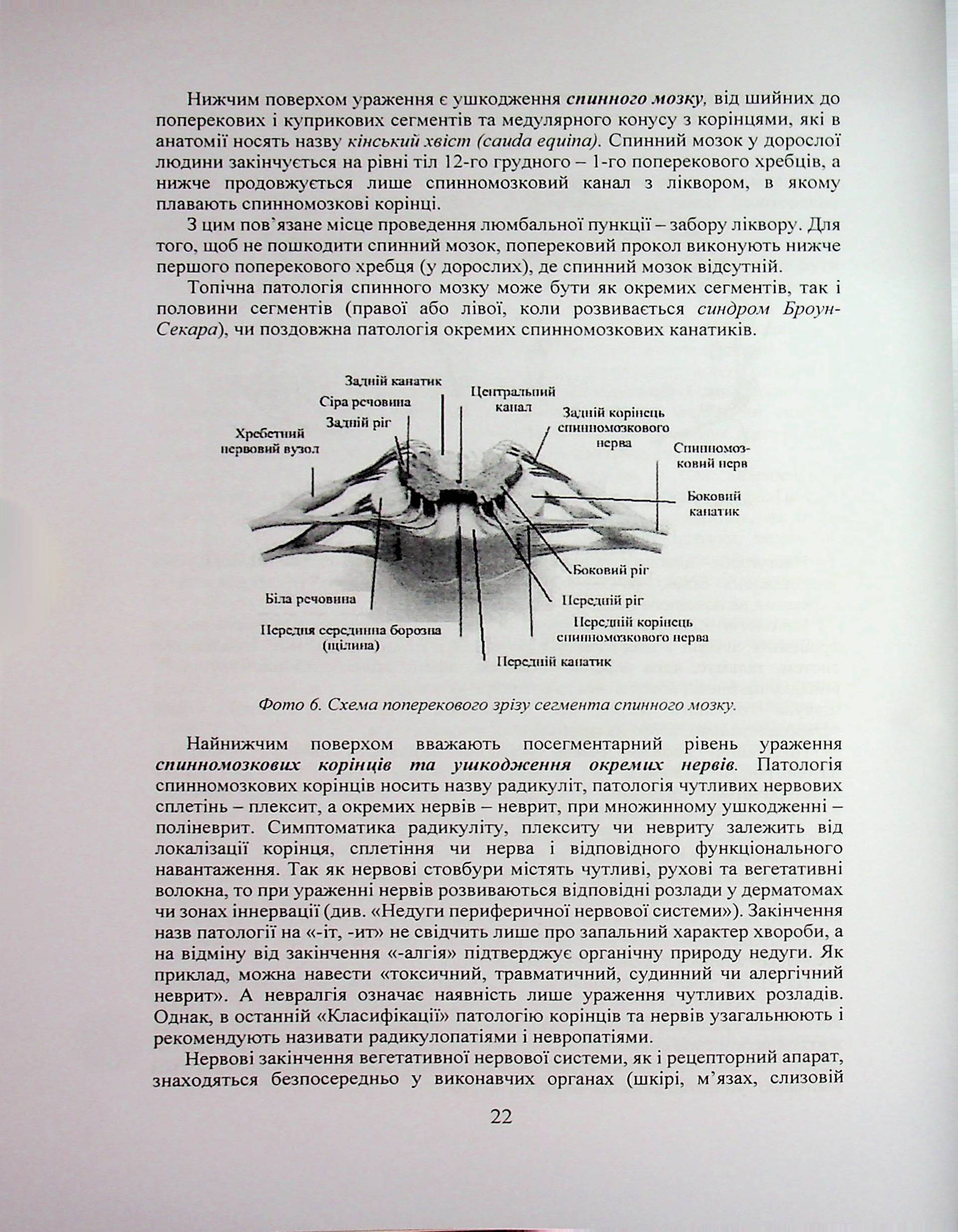 Людські недуги, як хвороби тіла, психіки, характеру і виховання — фото 26