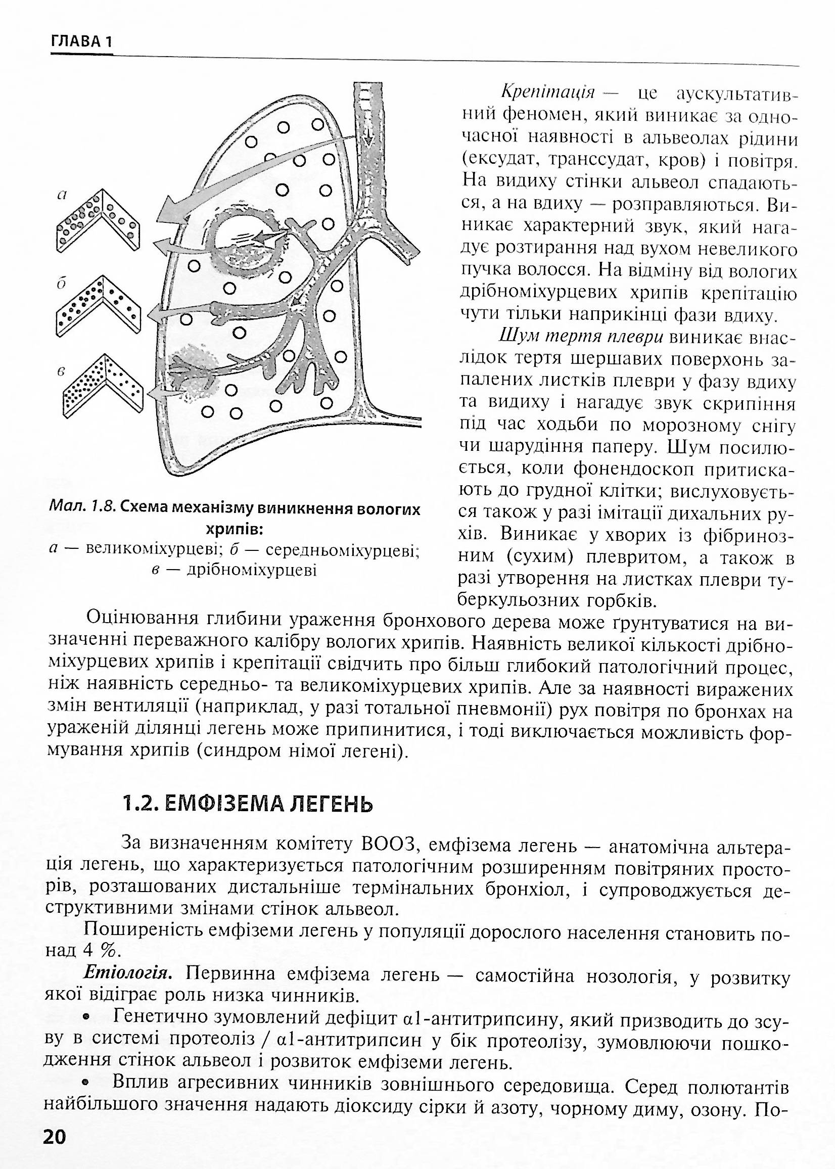 Дитяча пульмонологія. Навчальний посібник — фото 20