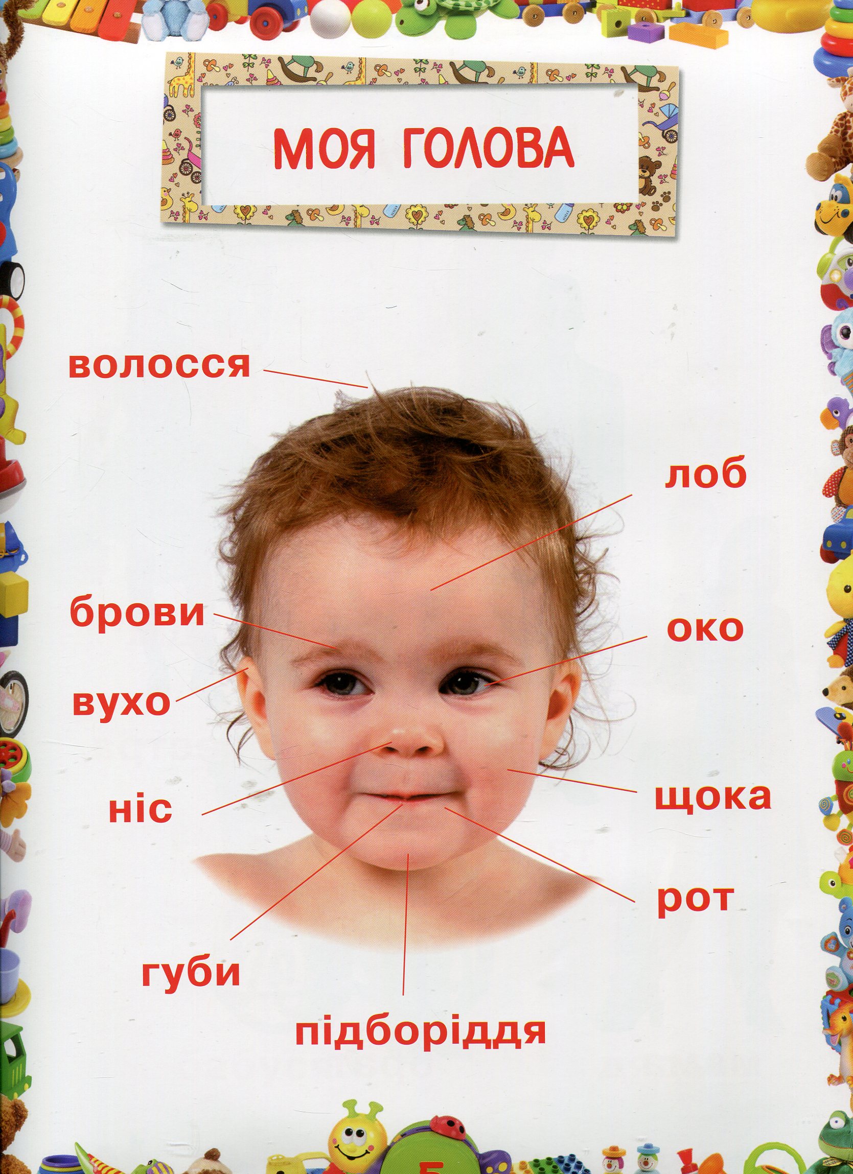 Улюблена книжка малюка. Від 6 місяців до 4 років — фото 5