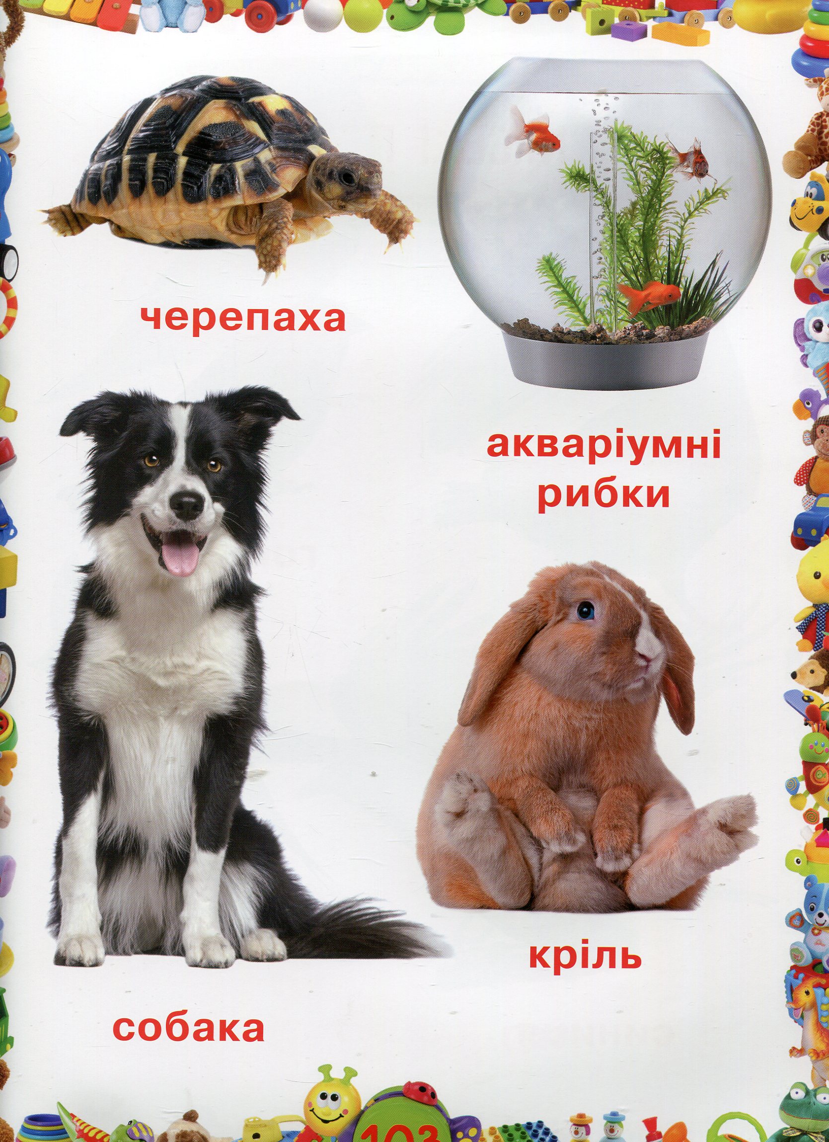 Улюблена книжка малюка. Від 6 місяців до 4 років — фото 12