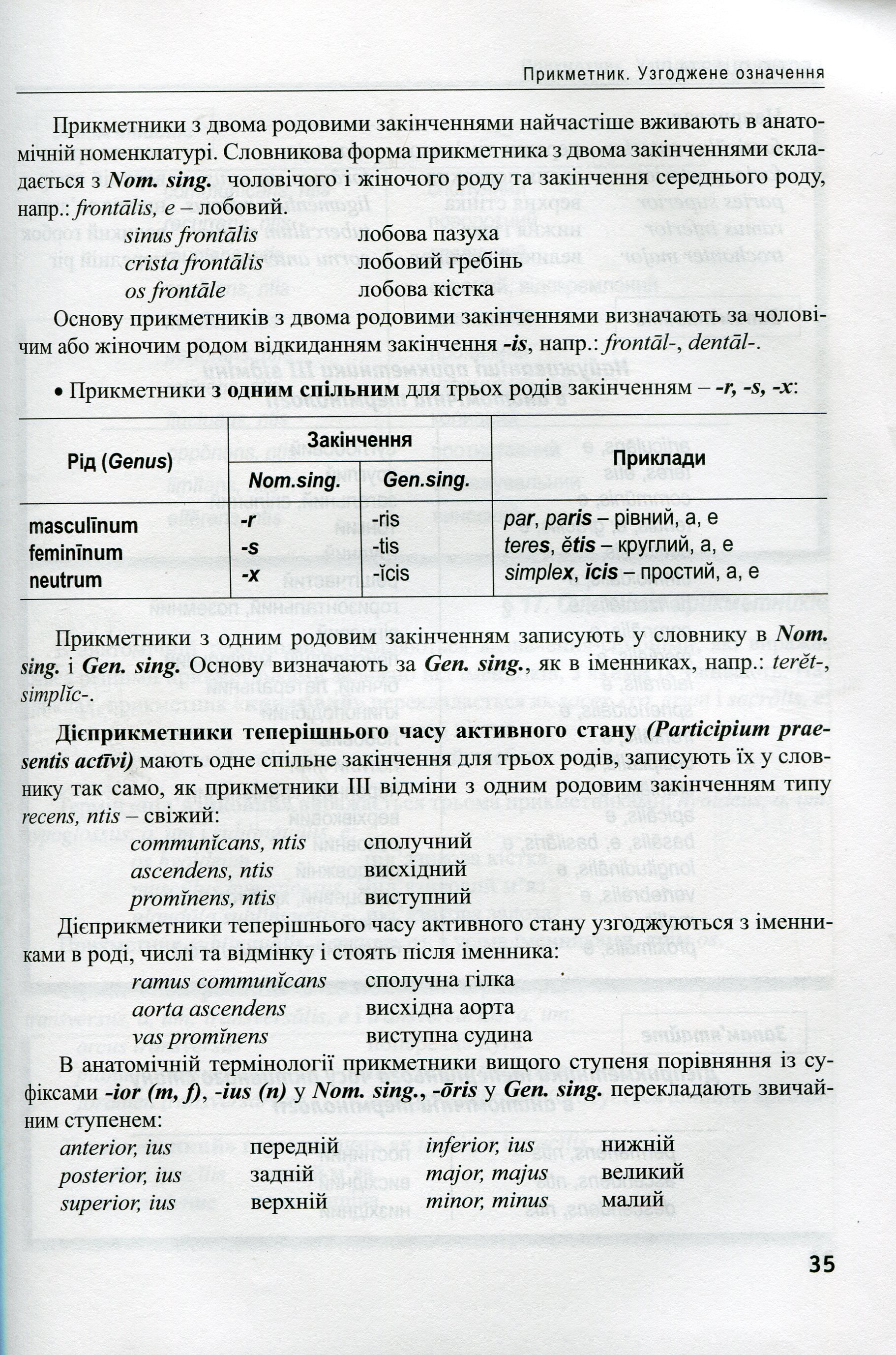Латинська мова та основи медичної термінології — фото 6