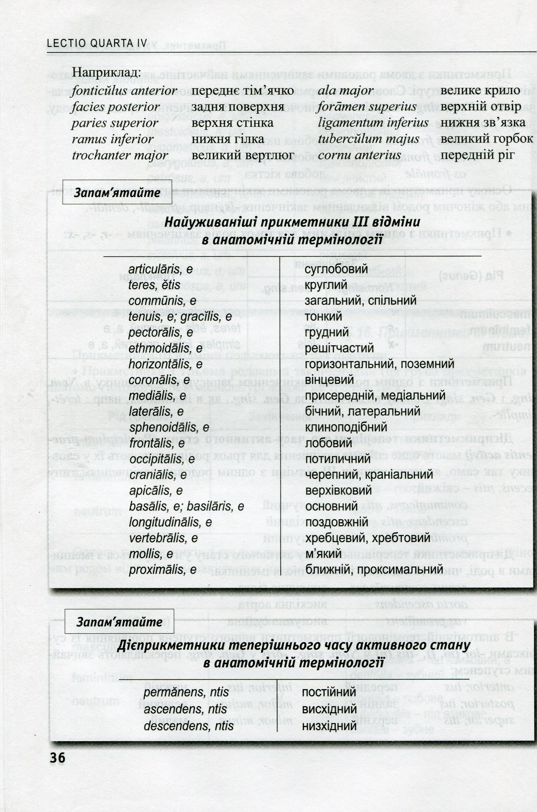 Латинська мова та основи медичної термінології — фото 7