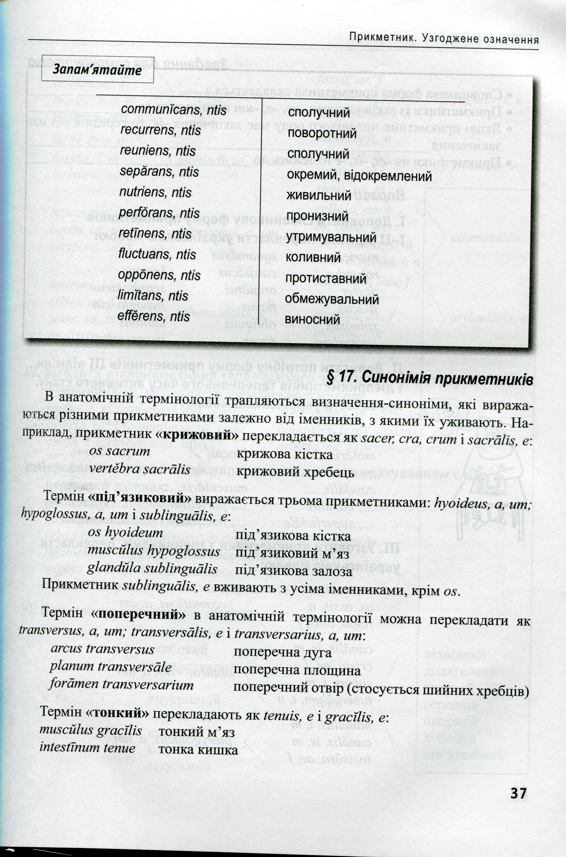 Латинська мова та основи медичної термінології — фото 8