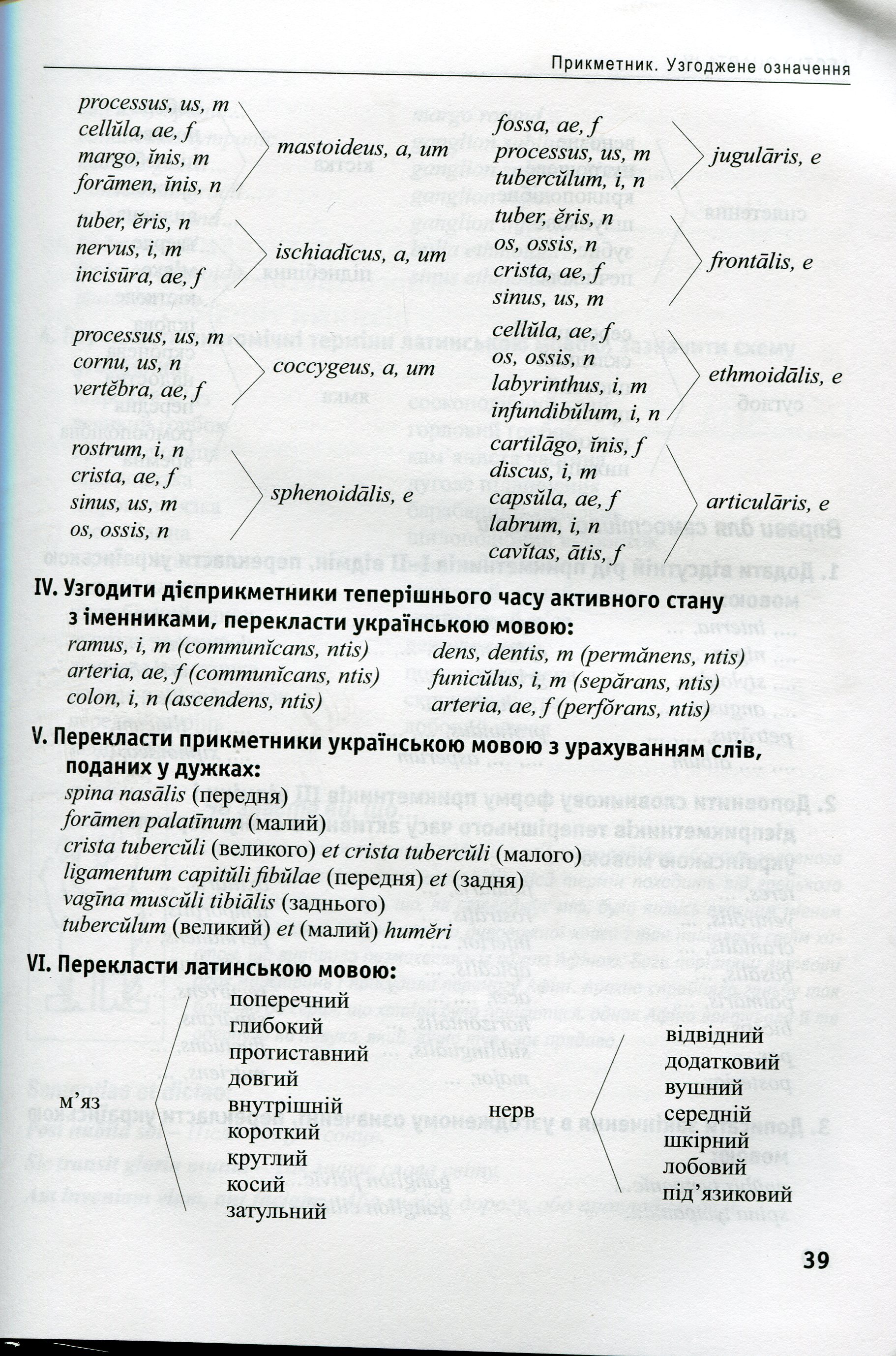 Латинська мова та основи медичної термінології — фото 10