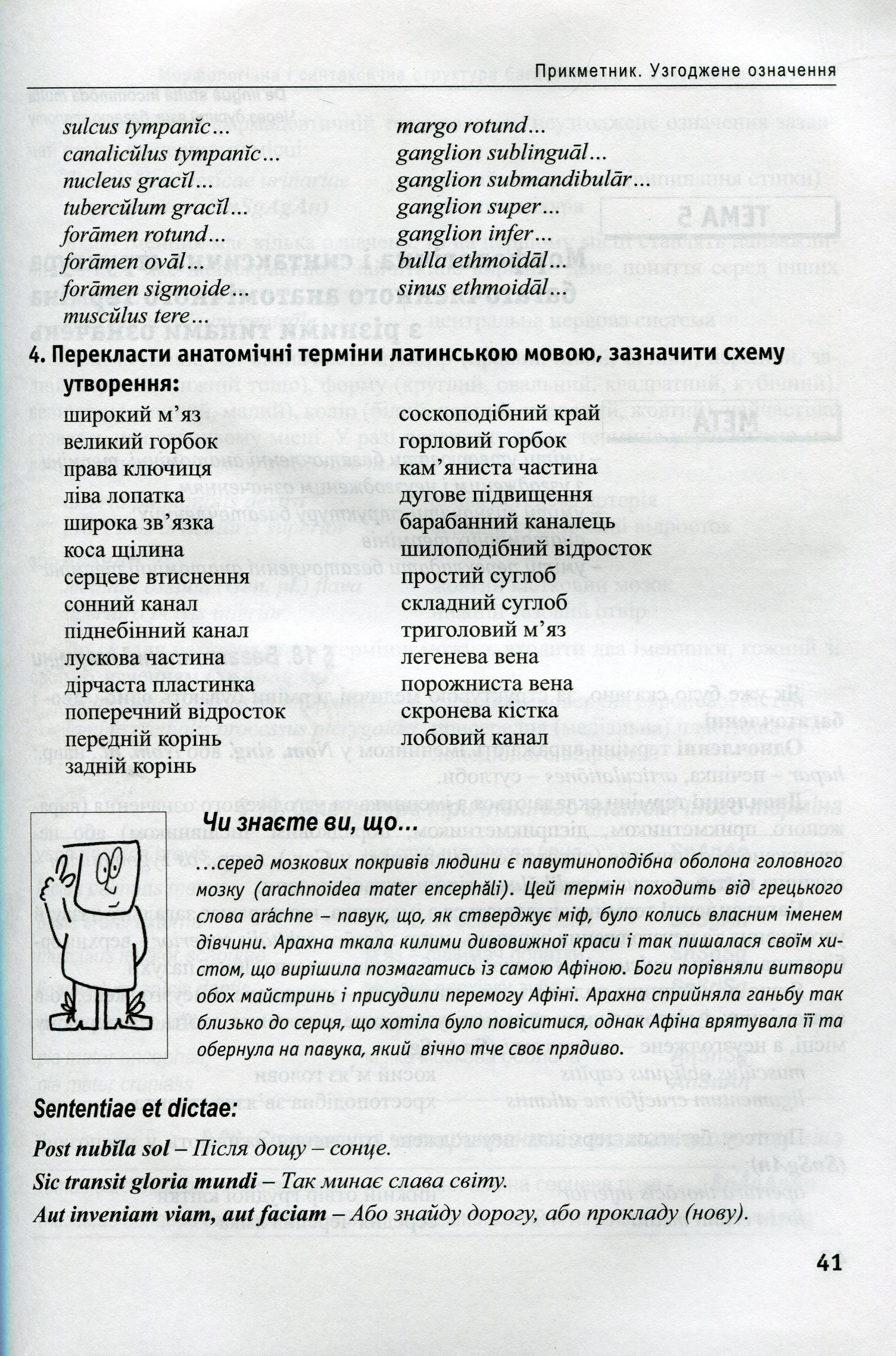 Латинська мова та основи медичної термінології — фото 12