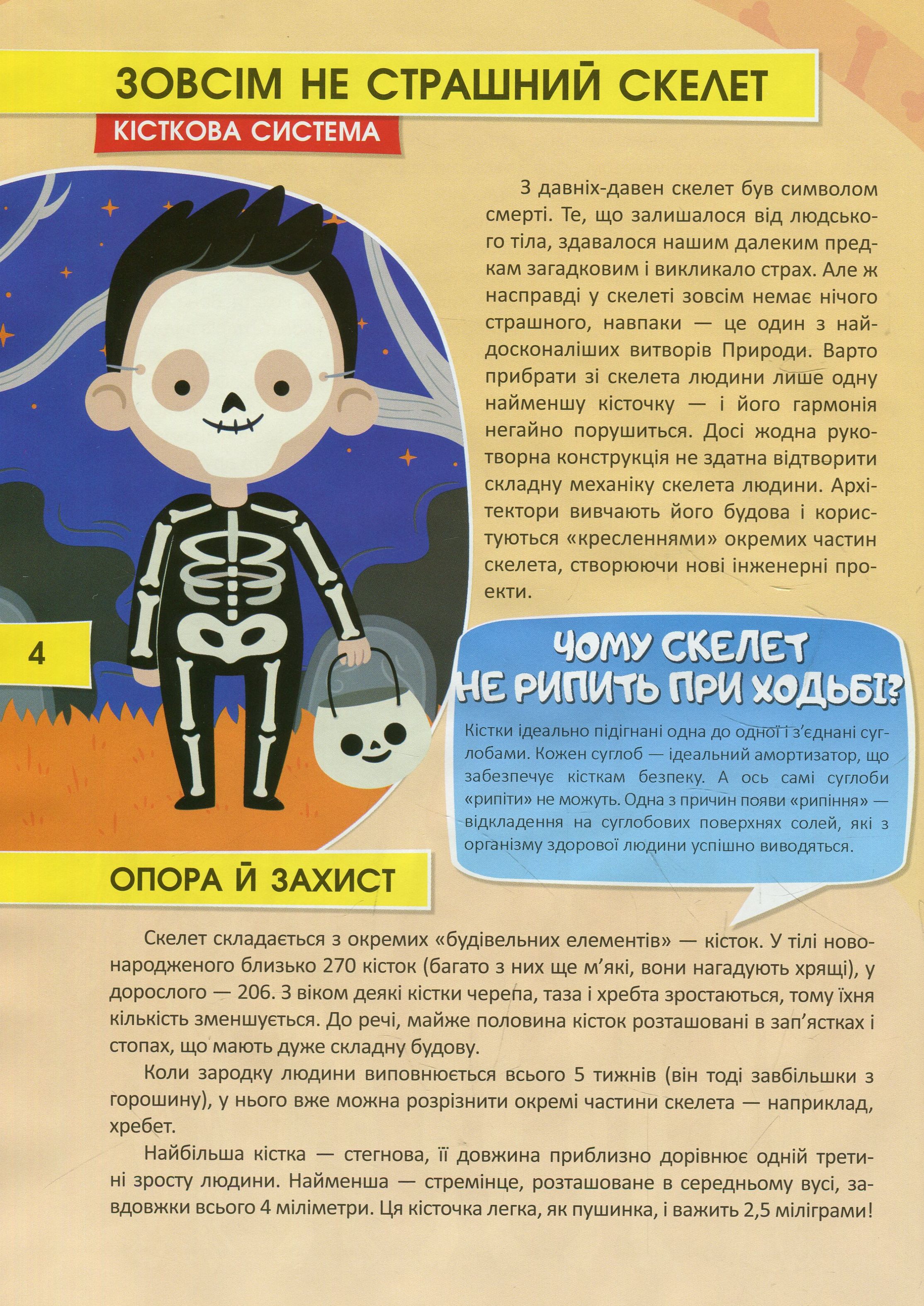 Тіло людини — фото 5