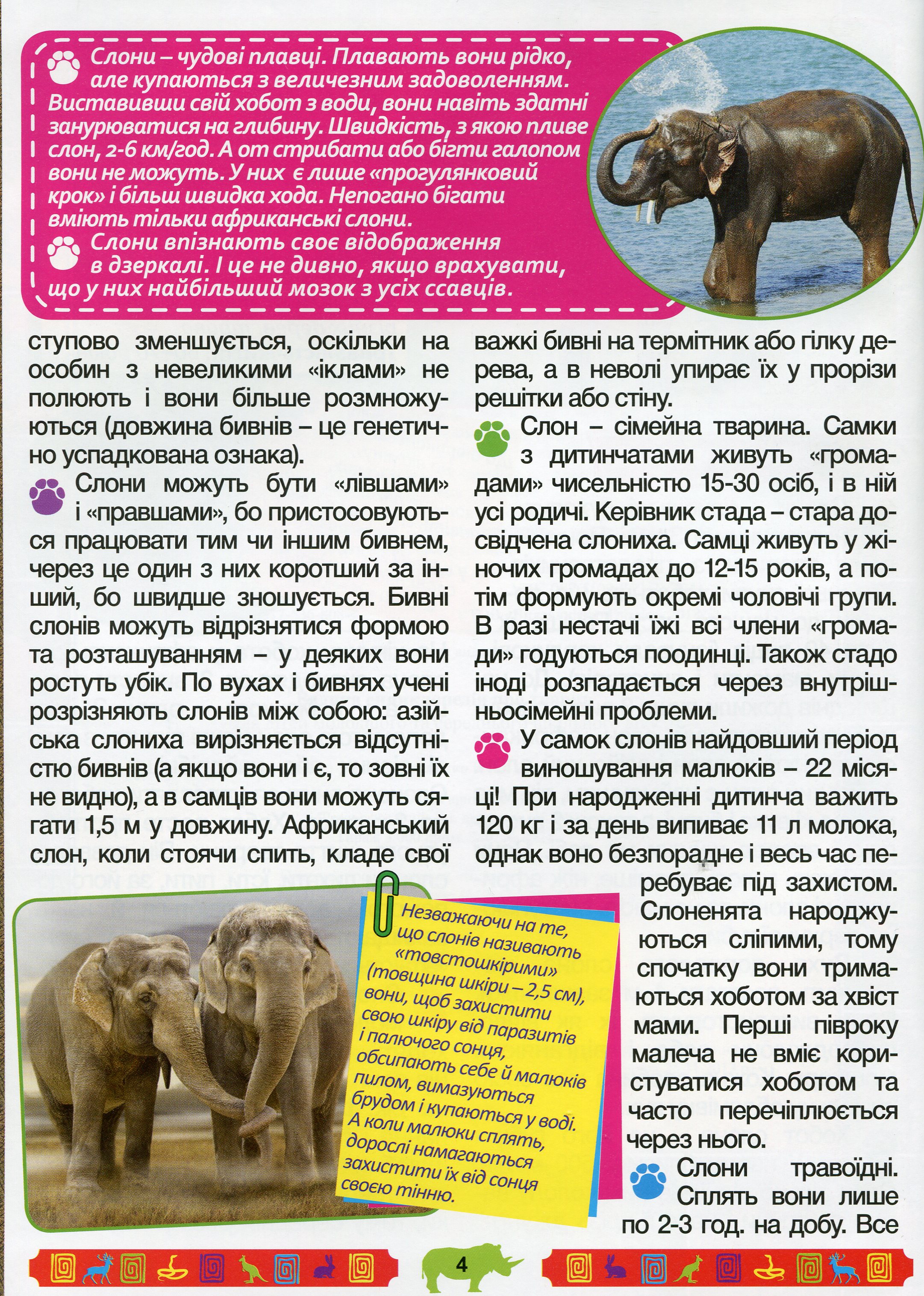 Велика енциклопедія про тварин. Дивовижні факти — фото 8