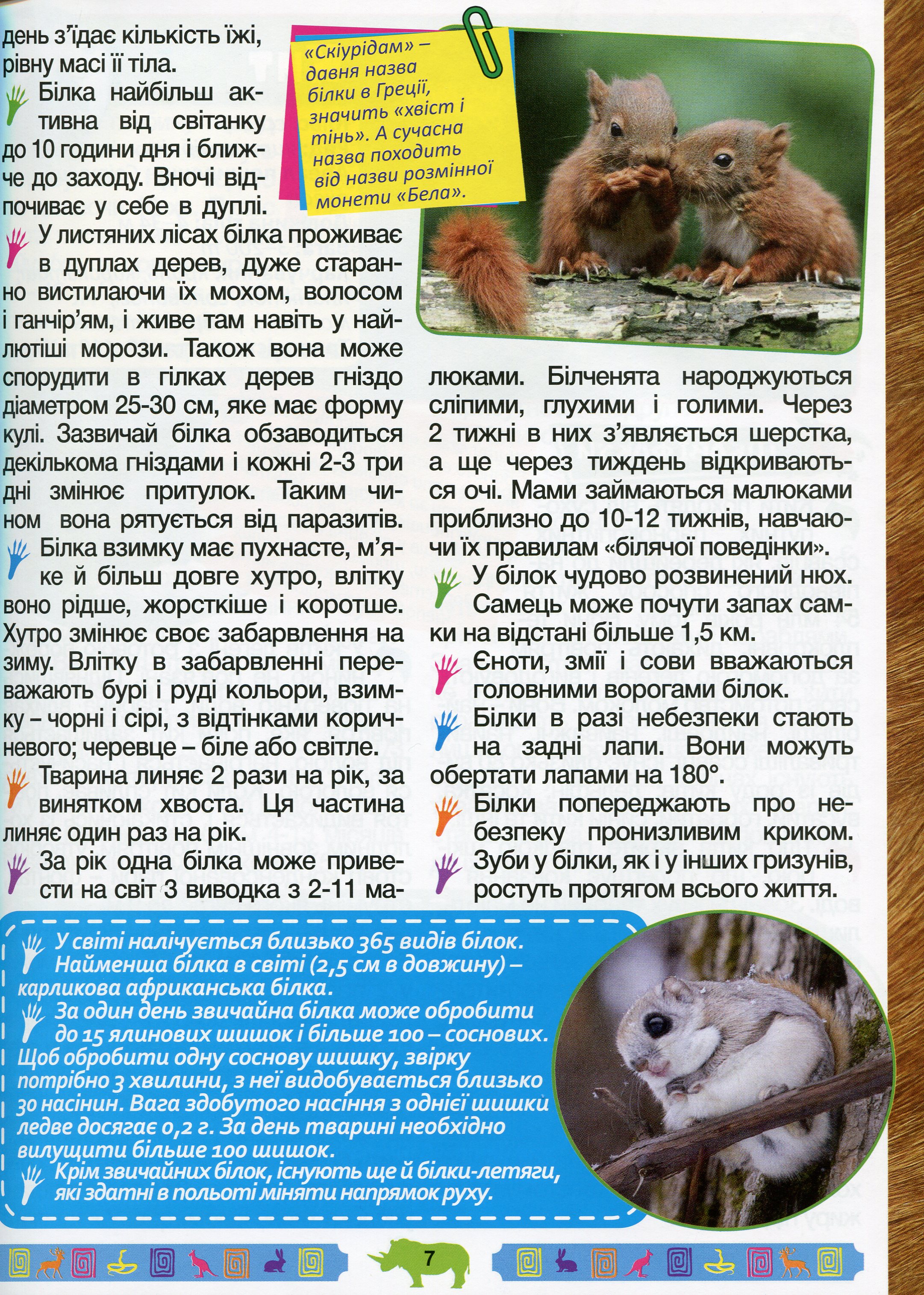 Велика енциклопедія про тварин. Дивовижні факти — фото 11