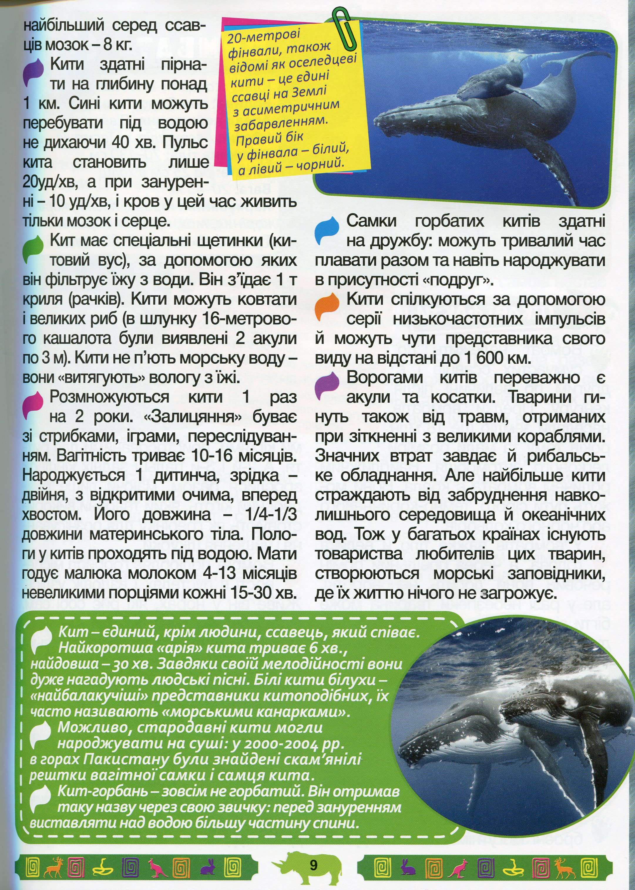 Велика енциклопедія про тварин. Дивовижні факти — фото 13