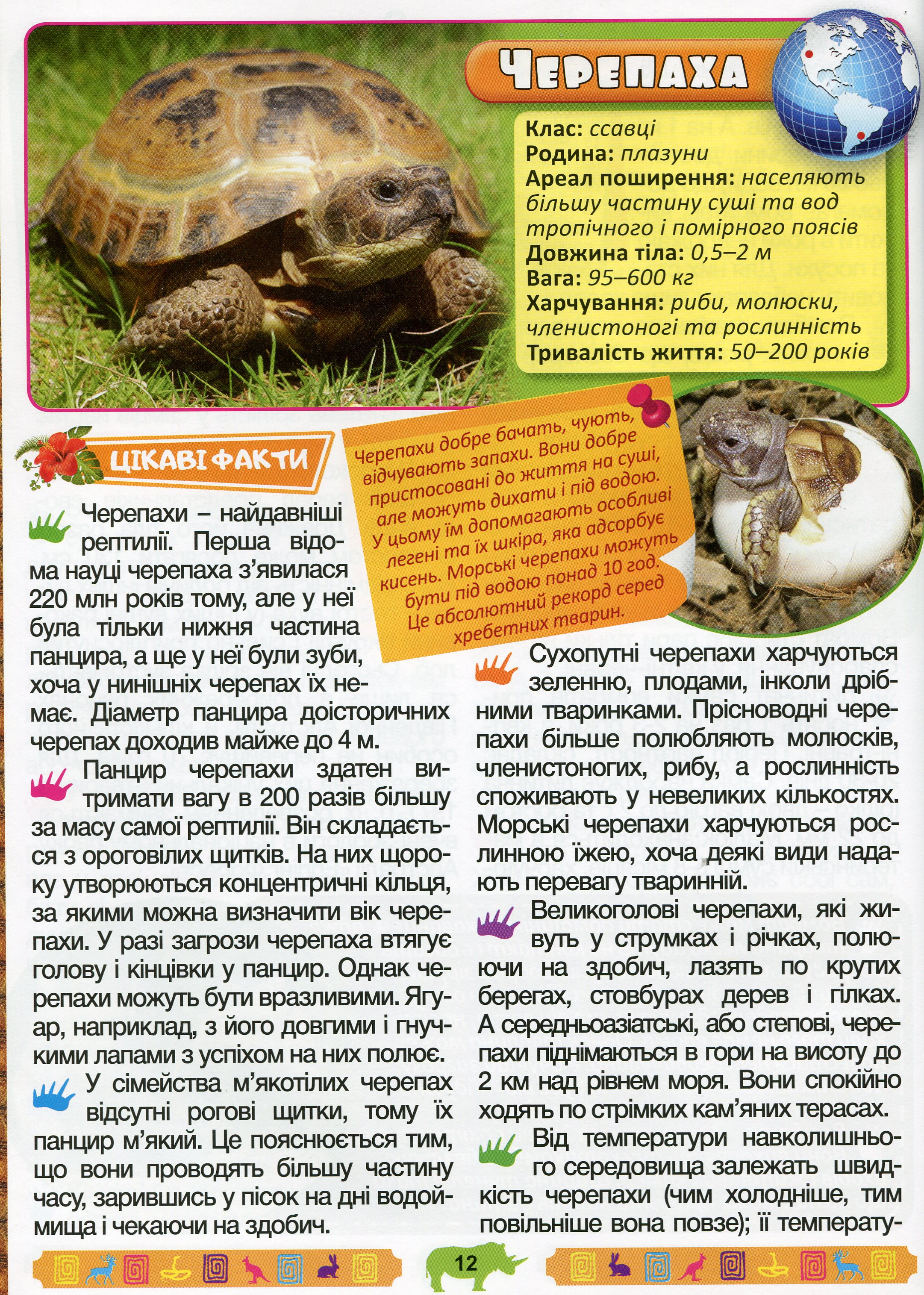 Велика енциклопедія про тварин. Дивовижні факти — фото 16