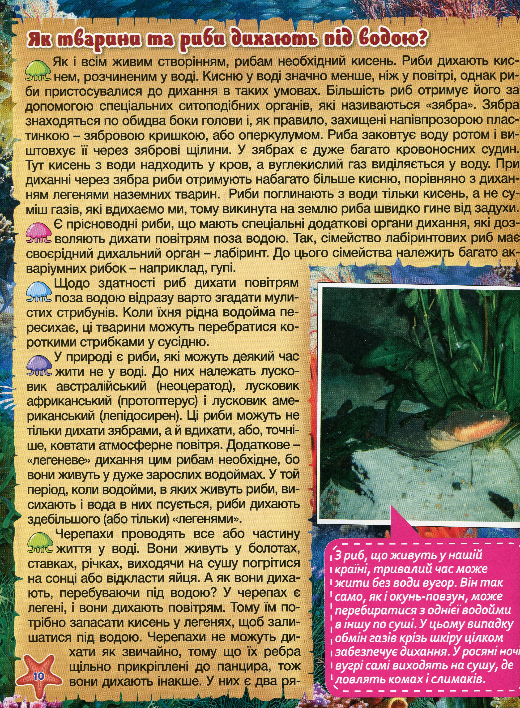 Підводний світ. Дитяча енциклопедія (Жовта) — фото 11