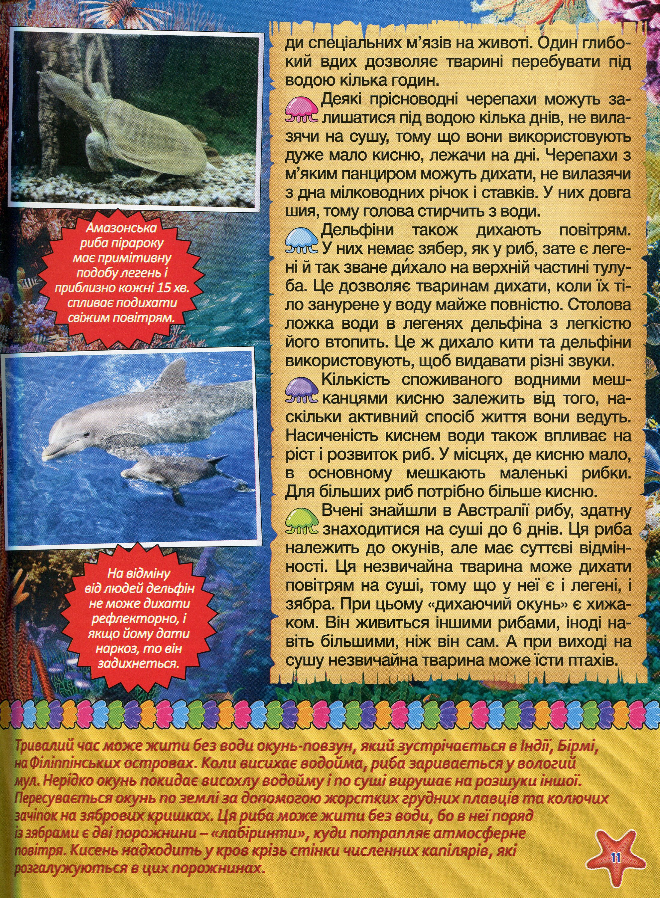 Підводний світ. Дитяча енциклопедія (Жовта) — фото 12