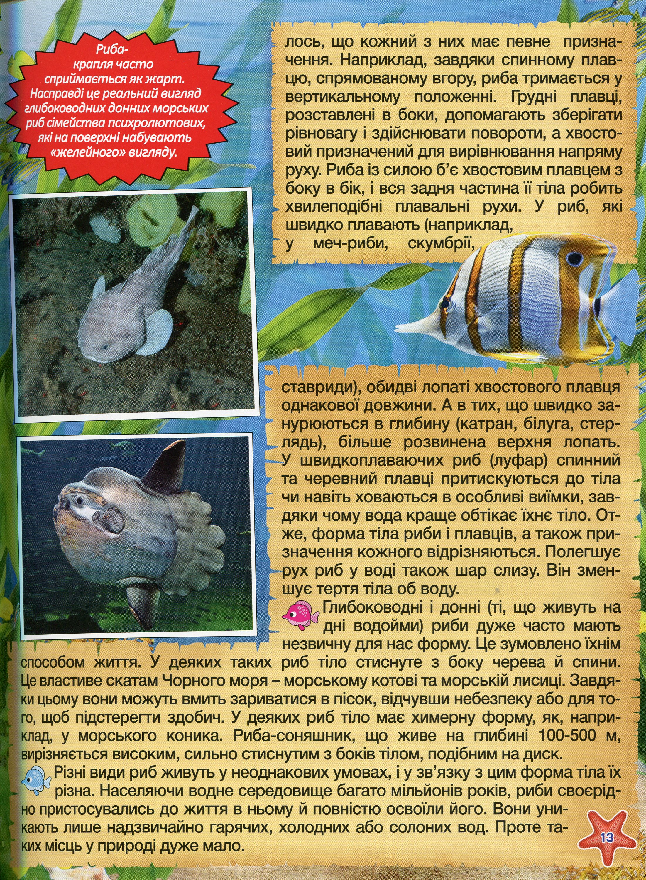Підводний світ. Дитяча енциклопедія (Жовта) — фото 14