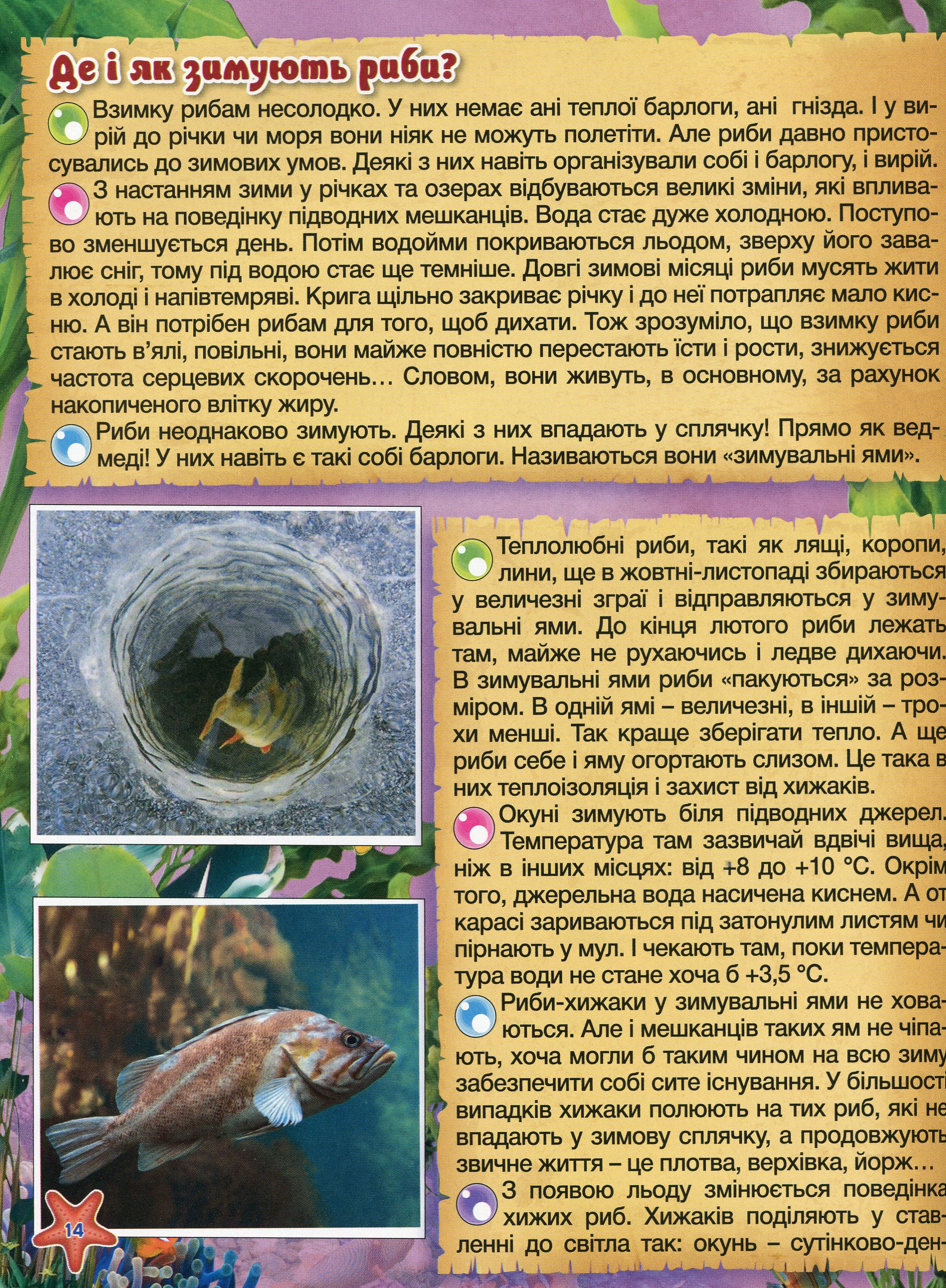 Підводний світ. Дитяча енциклопедія (Жовта) — фото 15