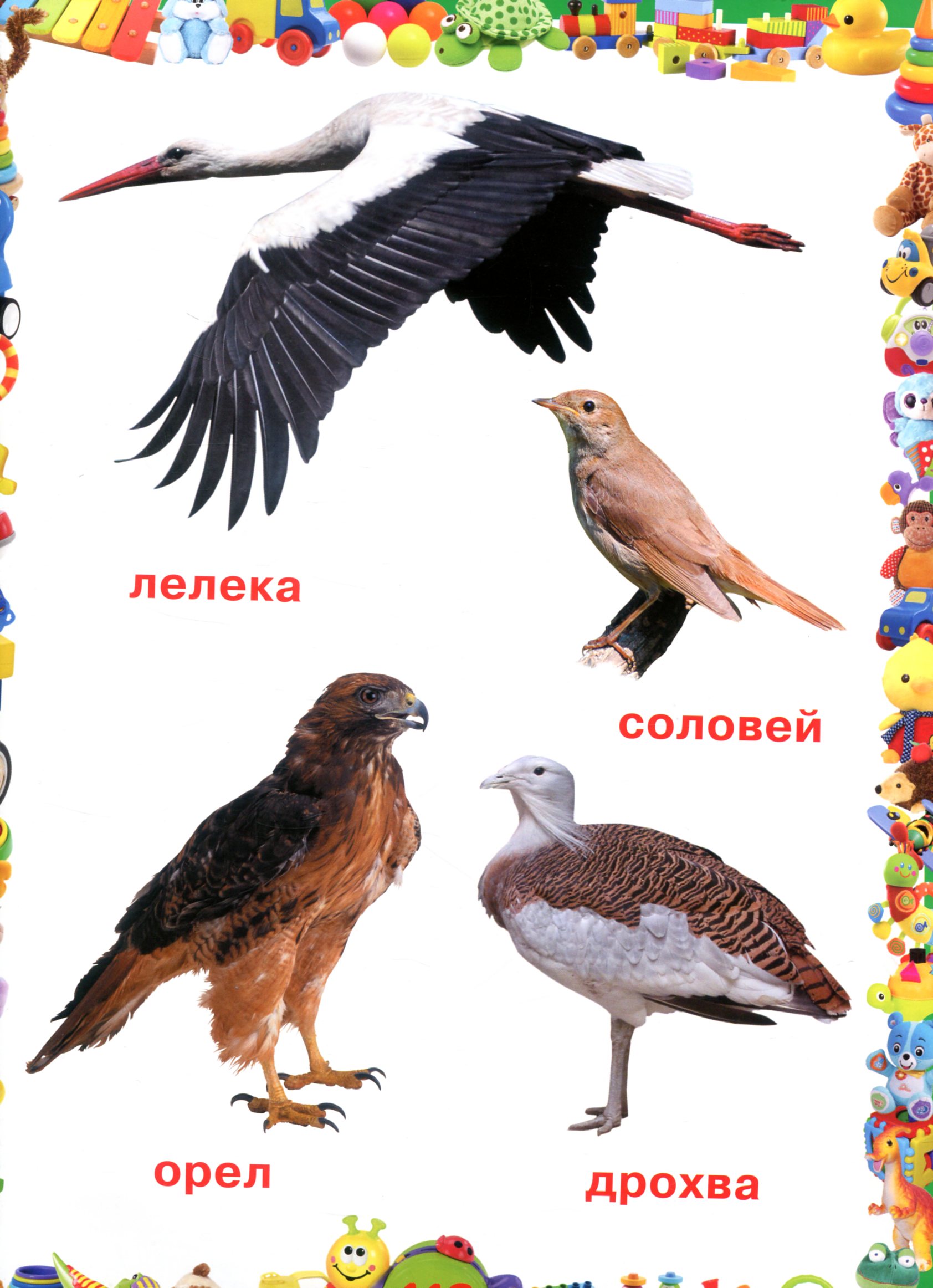 Улюблена книжка малюка. Від 6 місяців до 4 років — фото 14