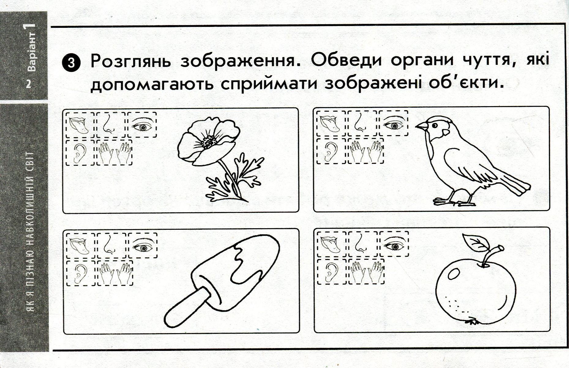 [object Object] «Я досліджую світ. Відривні картки до підручника Т. Гільберг, С. Тарнавської, О. Гнатюк, Н. Павич. 1 клас», автор Антоніна Назаренко - фото №3 - мініатюра