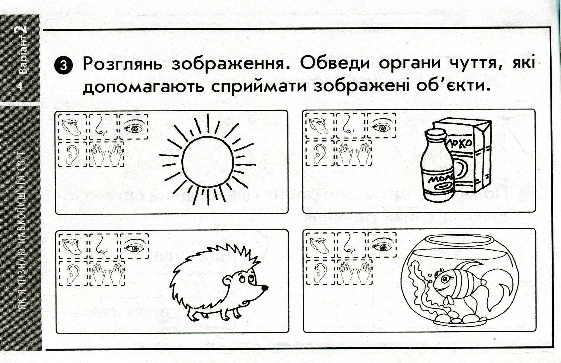 [object Object] «Я досліджую світ. Відривні картки до підручника Т. Гільберг, С. Тарнавської, О. Гнатюк, Н. Павич. 1 клас», автор Антоніна Назаренко - фото №5 - мініатюра