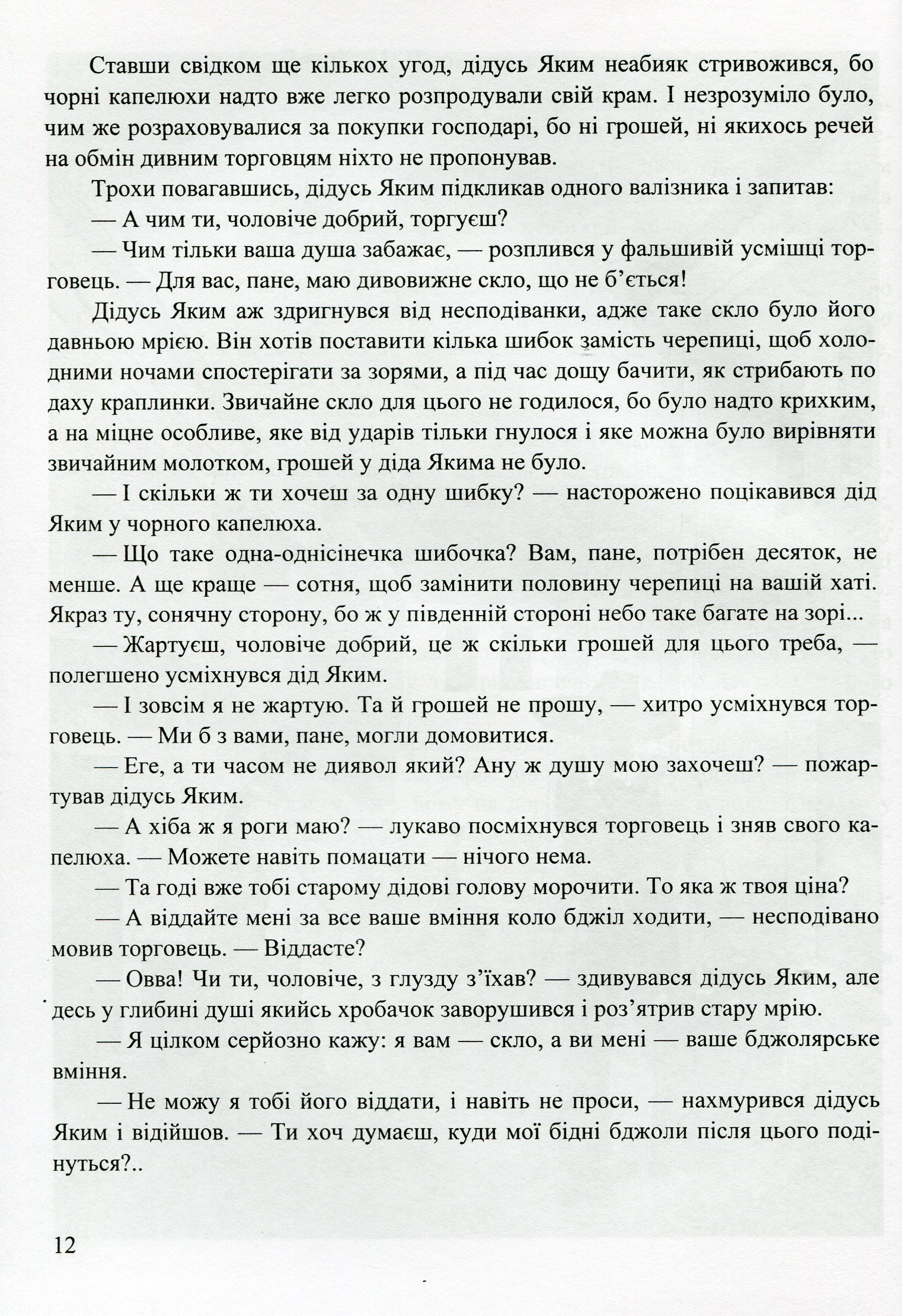 Килим-літак майстра Буркуна. Повість-казка — фото 15