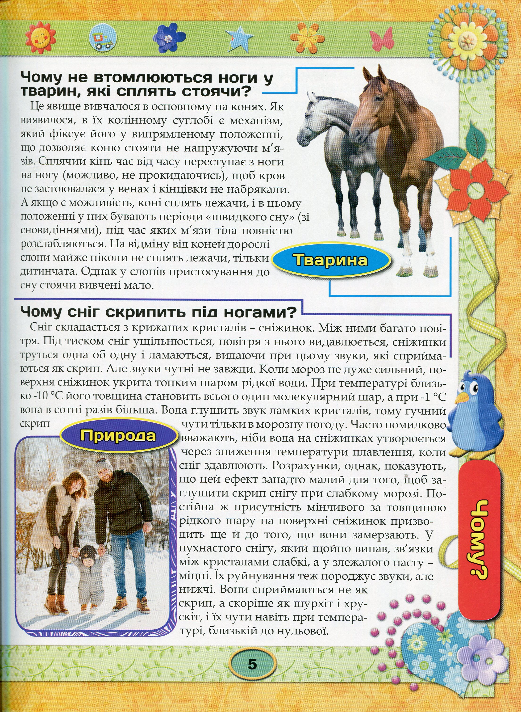 Енциклопедія чомусика. Фіолетова — фото 4