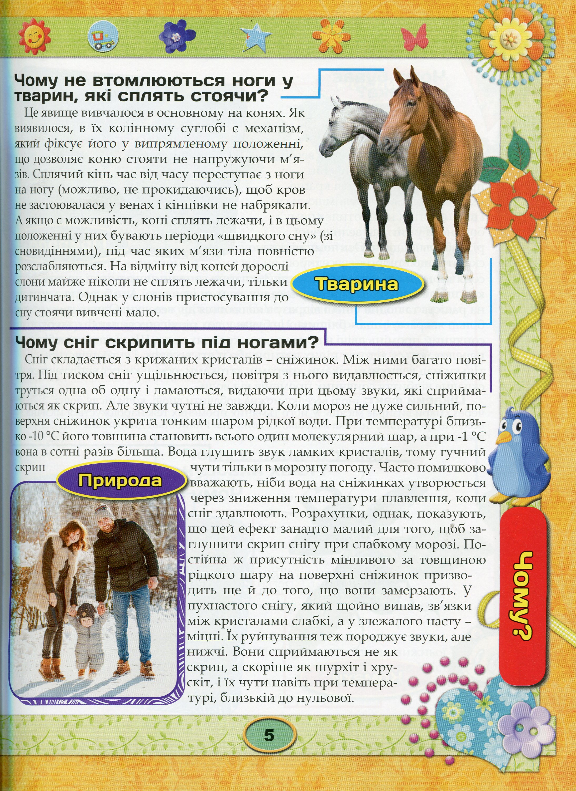 Енциклопедія чомусика — фото 4