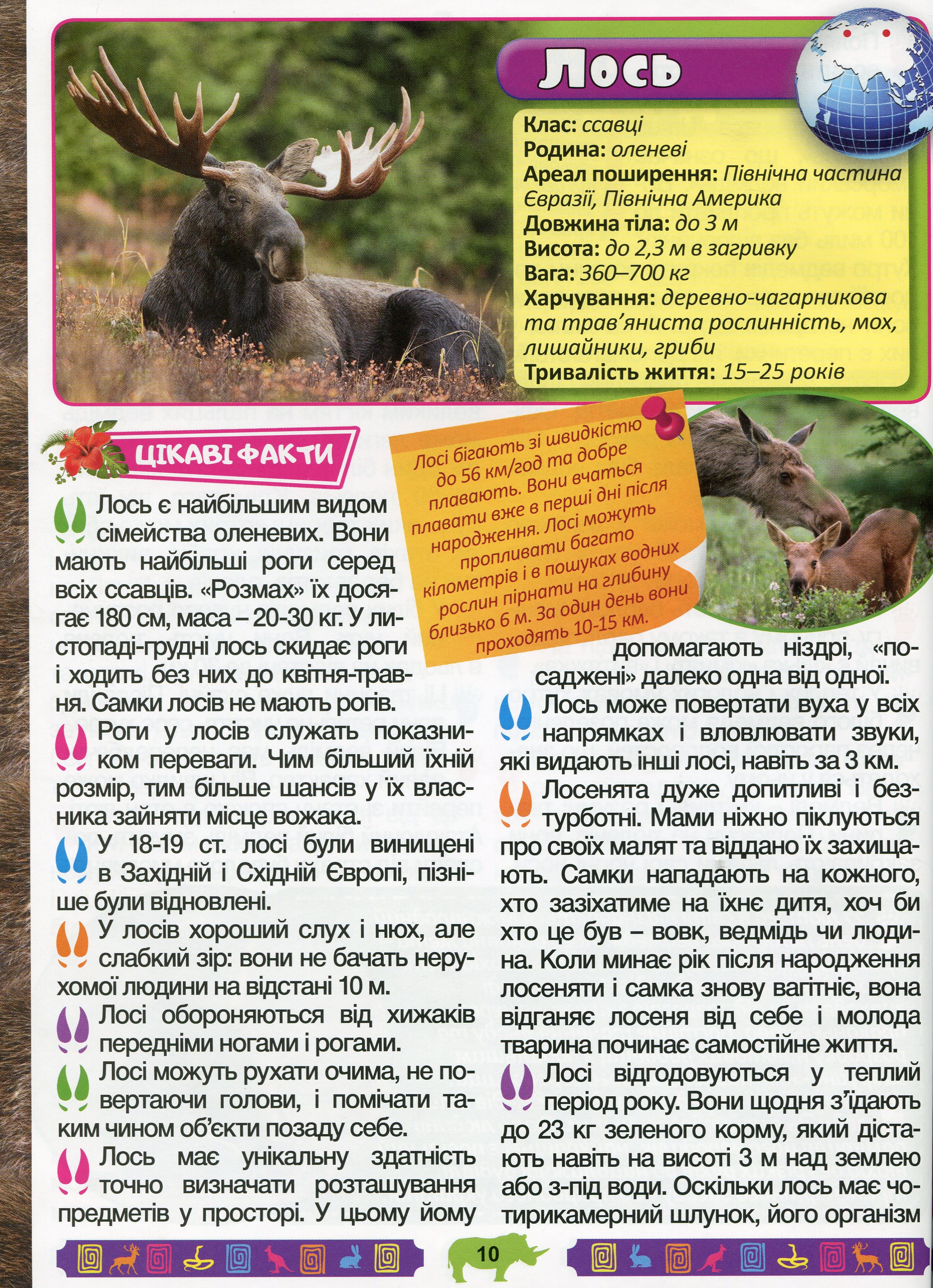 Енциклопедія про тварин. Дивовижні факти (Зелена) — фото 11