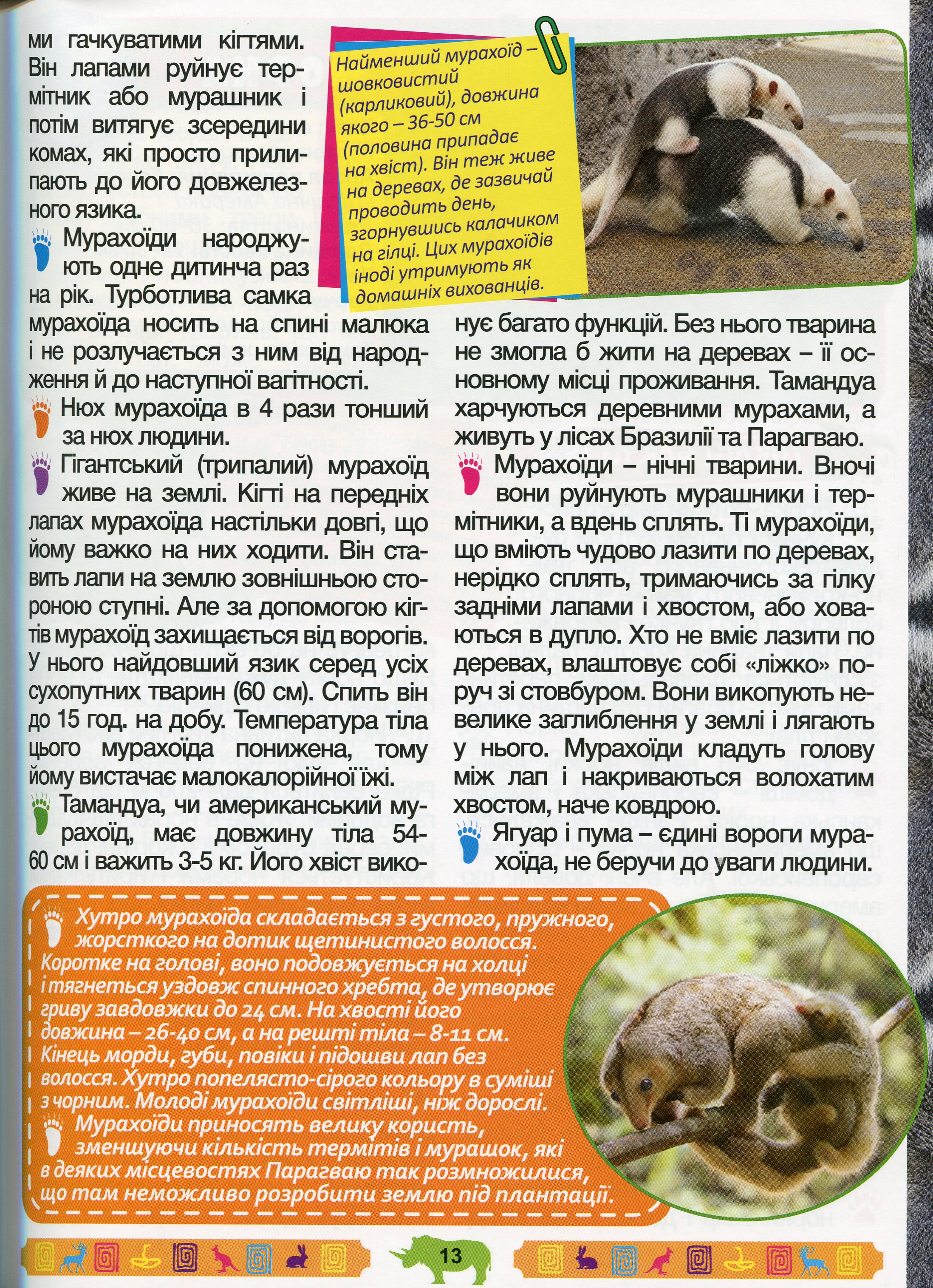 Енциклопедія про тварин. Дивовижні факти (Зелена) — фото 14