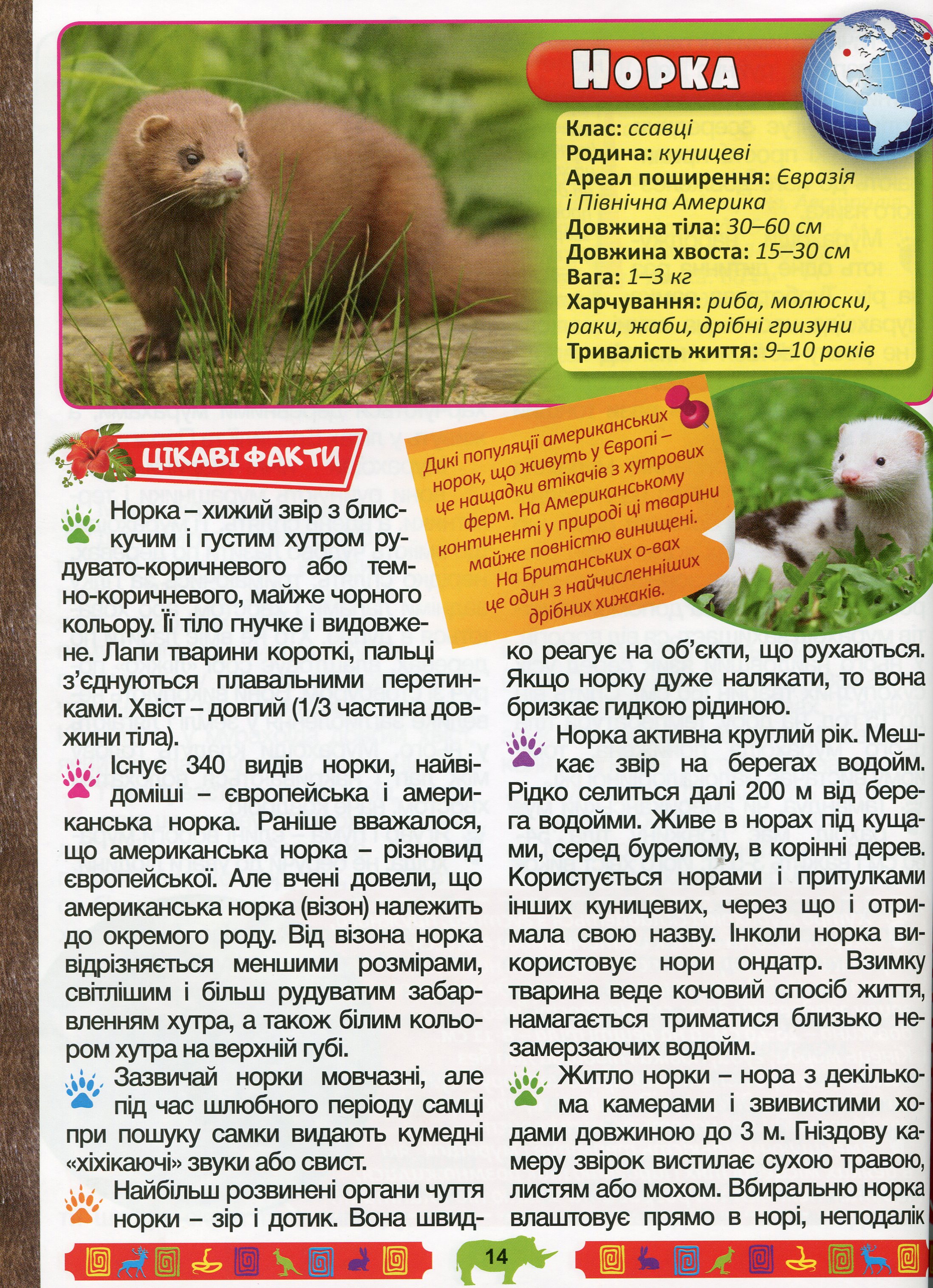 Енциклопедія про тварин. Дивовижні факти (Зелена) — фото 15