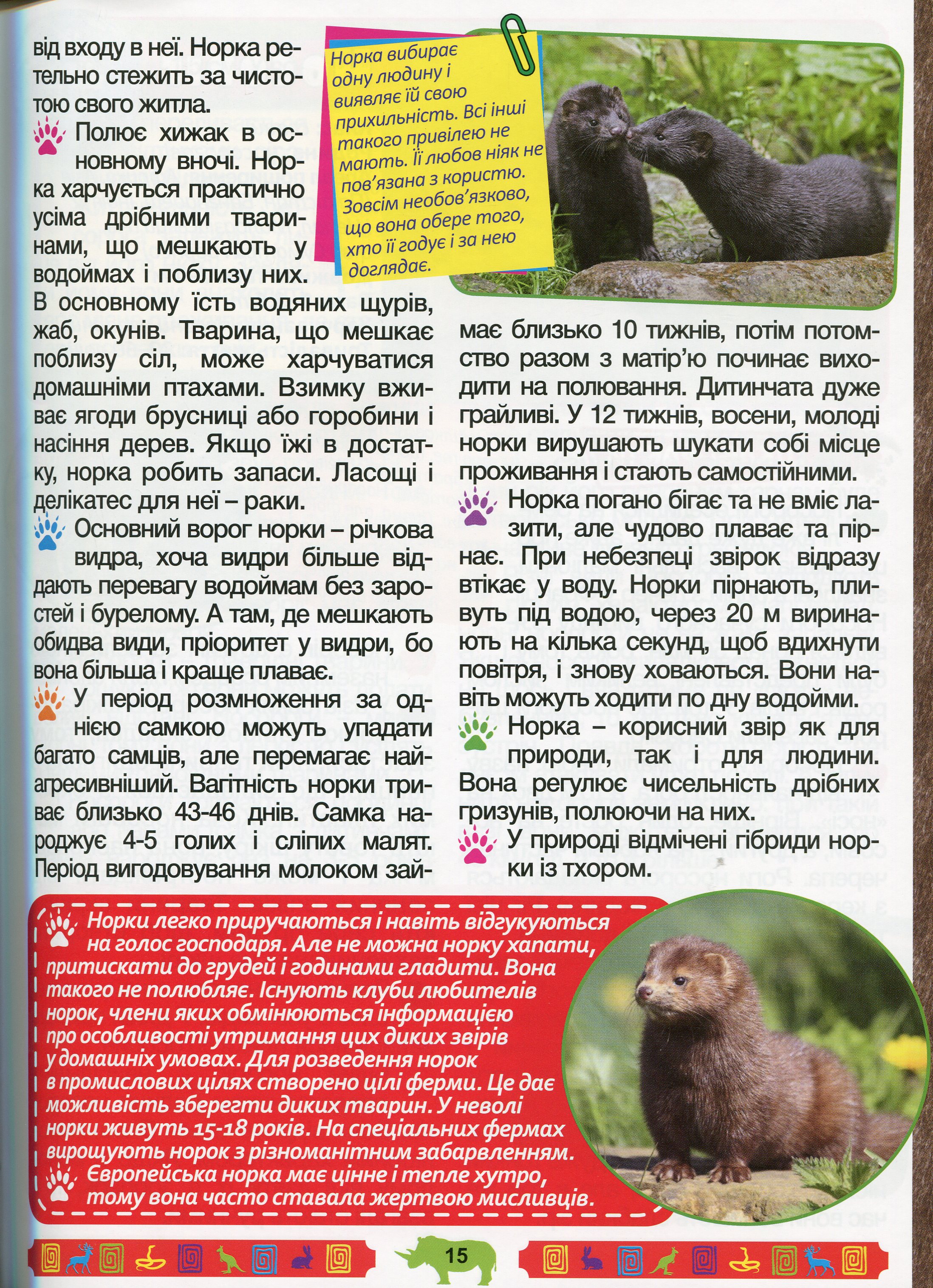 Енциклопедія про тварин. Дивовижні факти (Зелена) — фото 16
