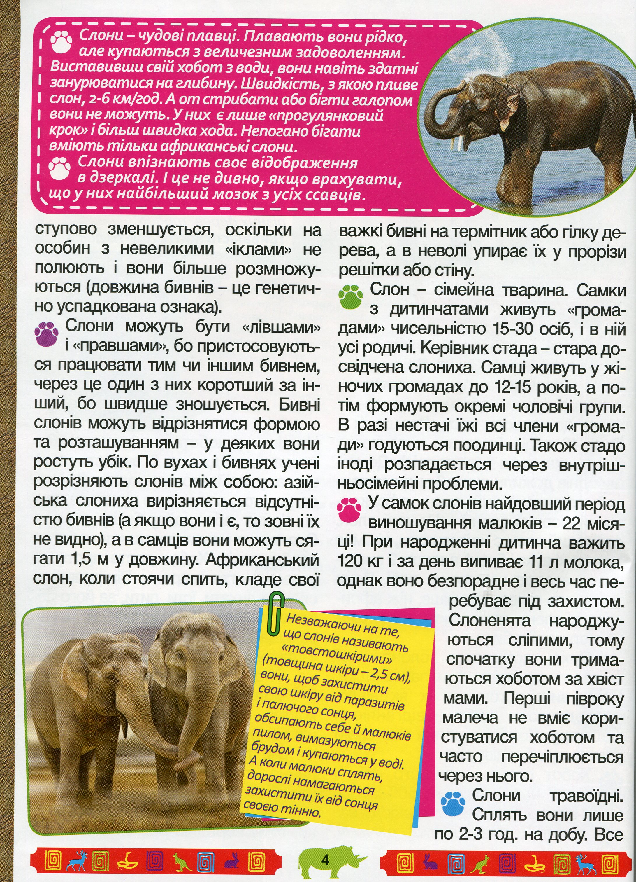 Енциклопедія про тварин. Дивовижні факти (Блакитна) — фото 7