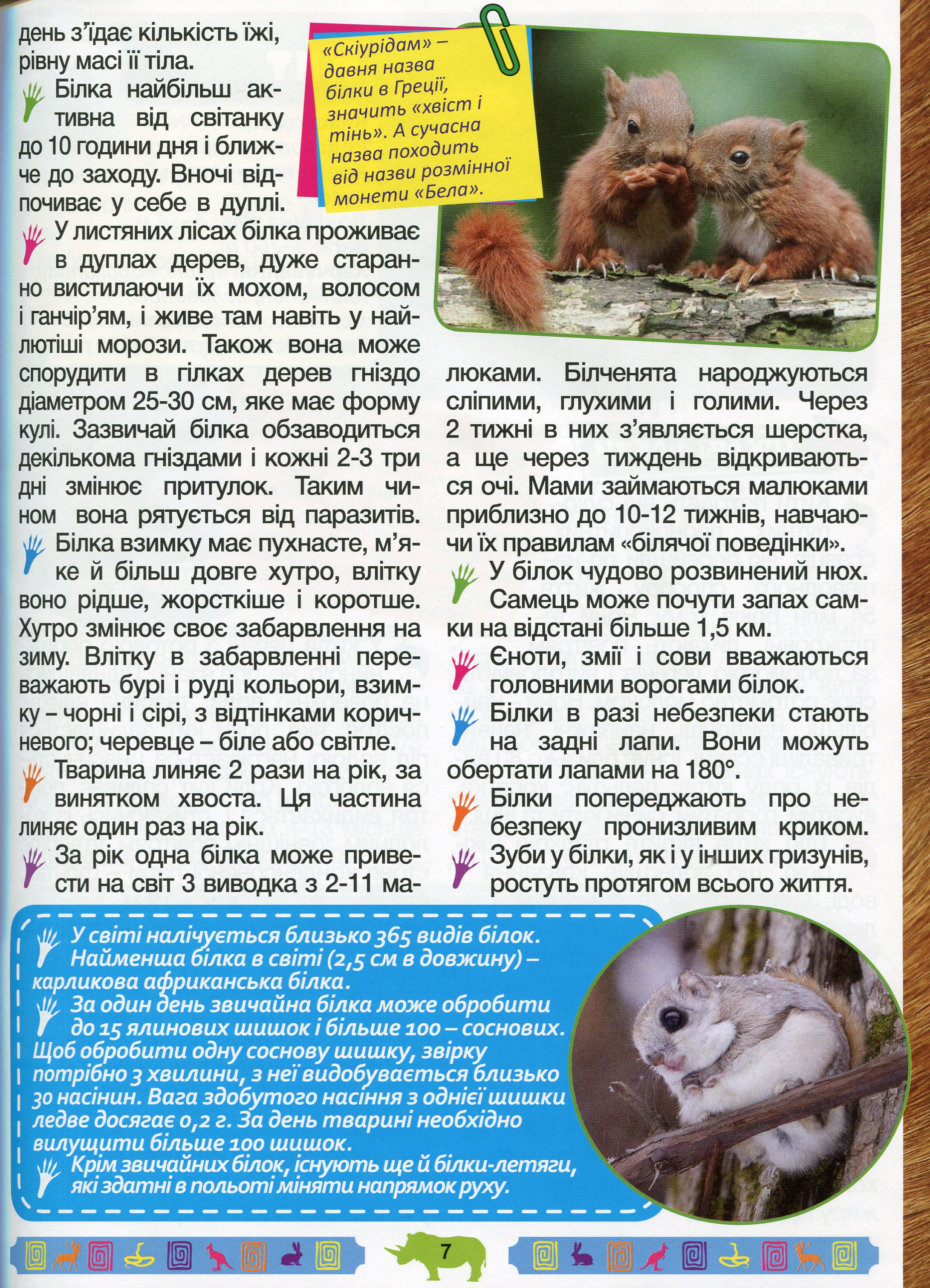 Енциклопедія про тварин. Дивовижні факти (Блакитна) — фото 10