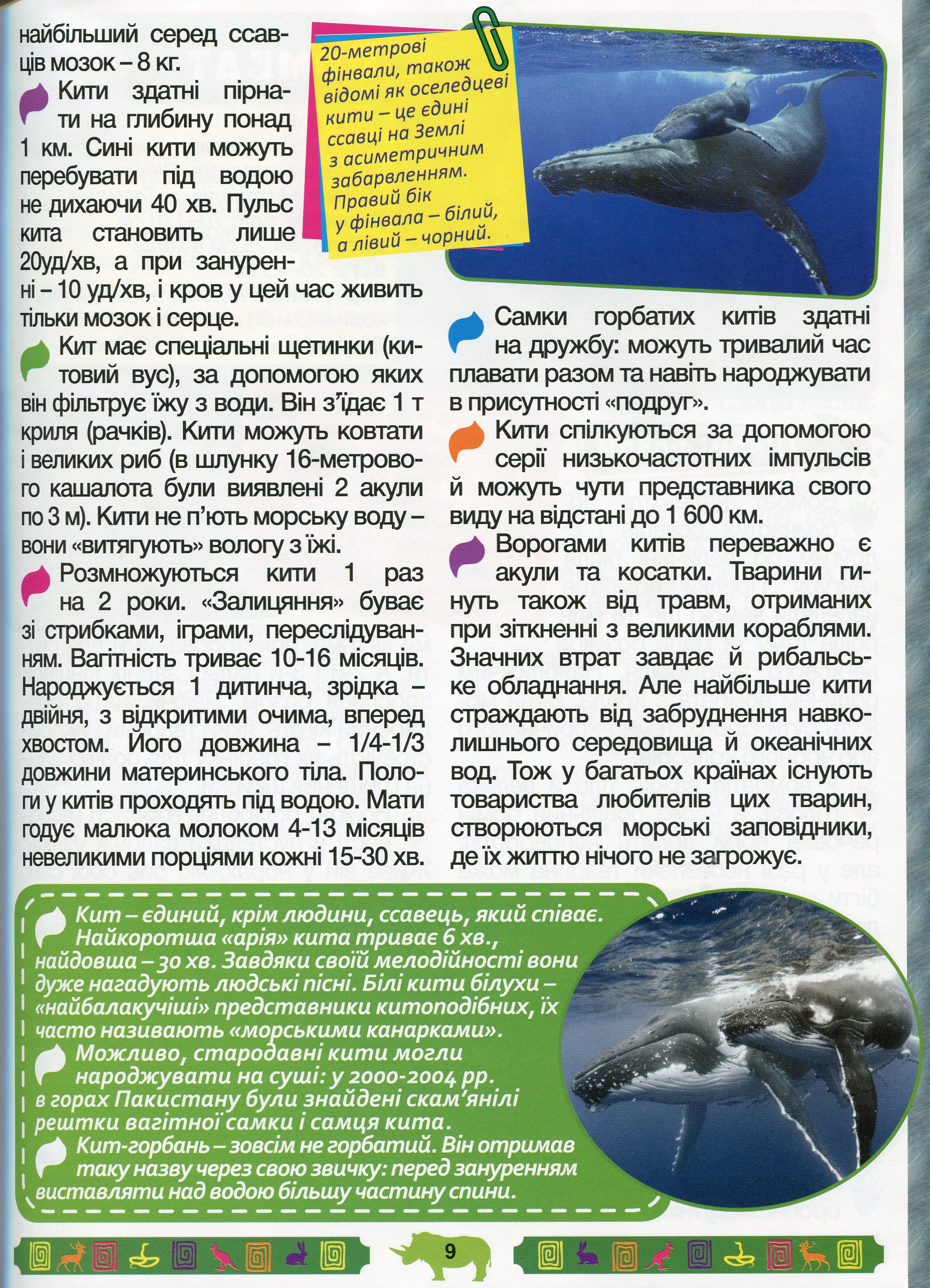 Енциклопедія про тварин. Дивовижні факти (Блакитна) — фото 12