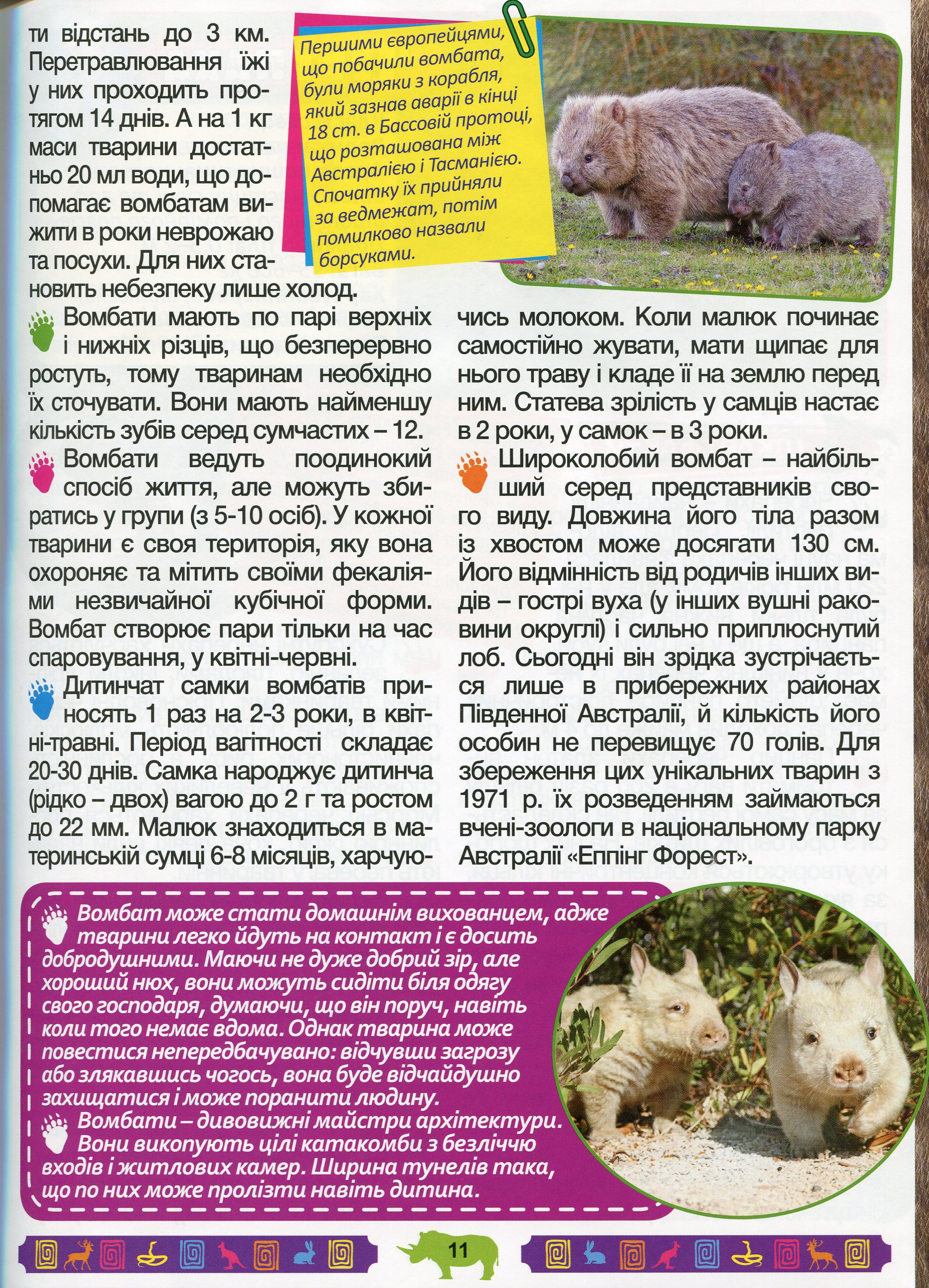 Енциклопедія про тварин. Дивовижні факти (Блакитна) — фото 14