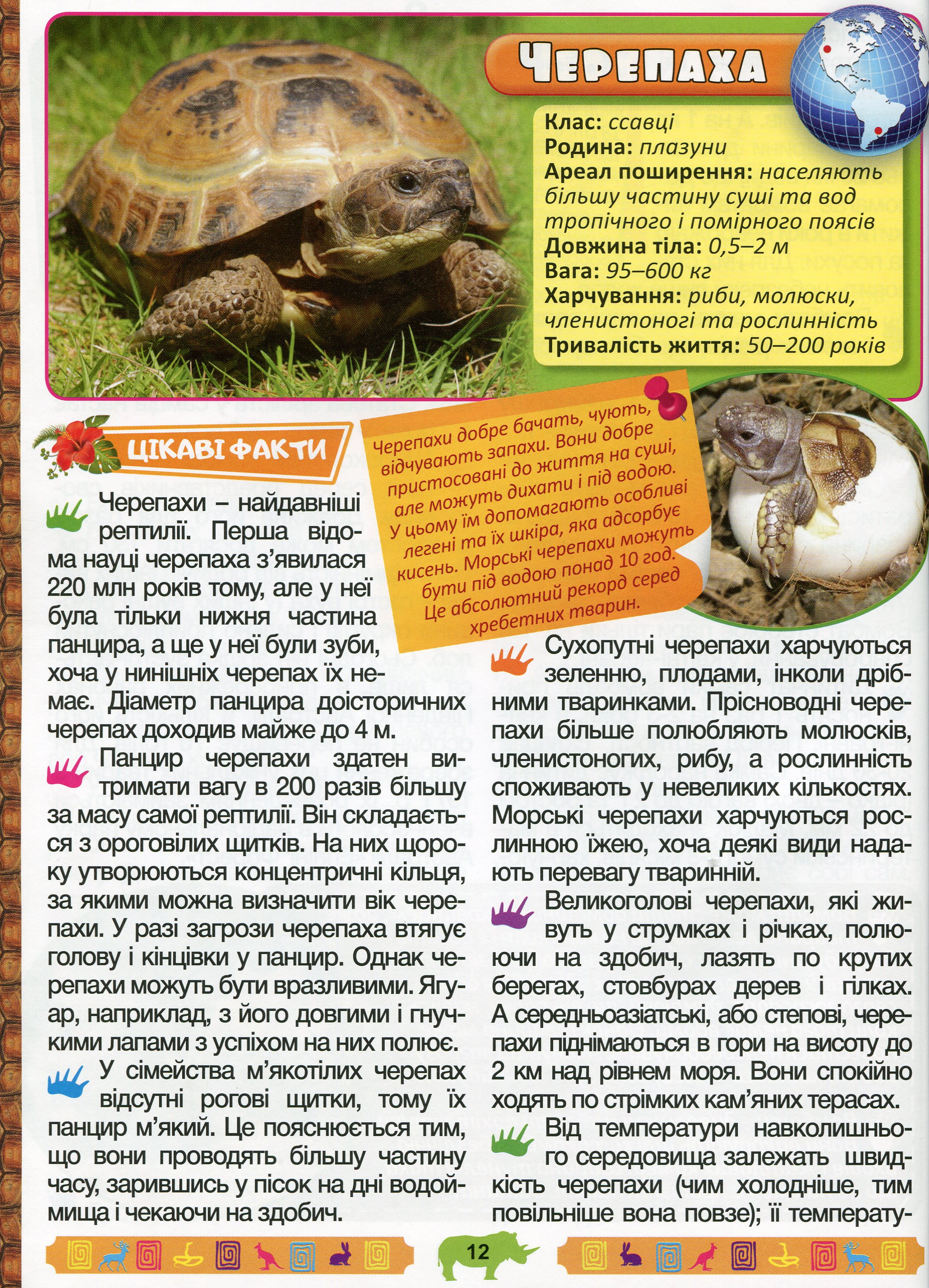 Енциклопедія про тварин. Дивовижні факти (Блакитна) — фото 15