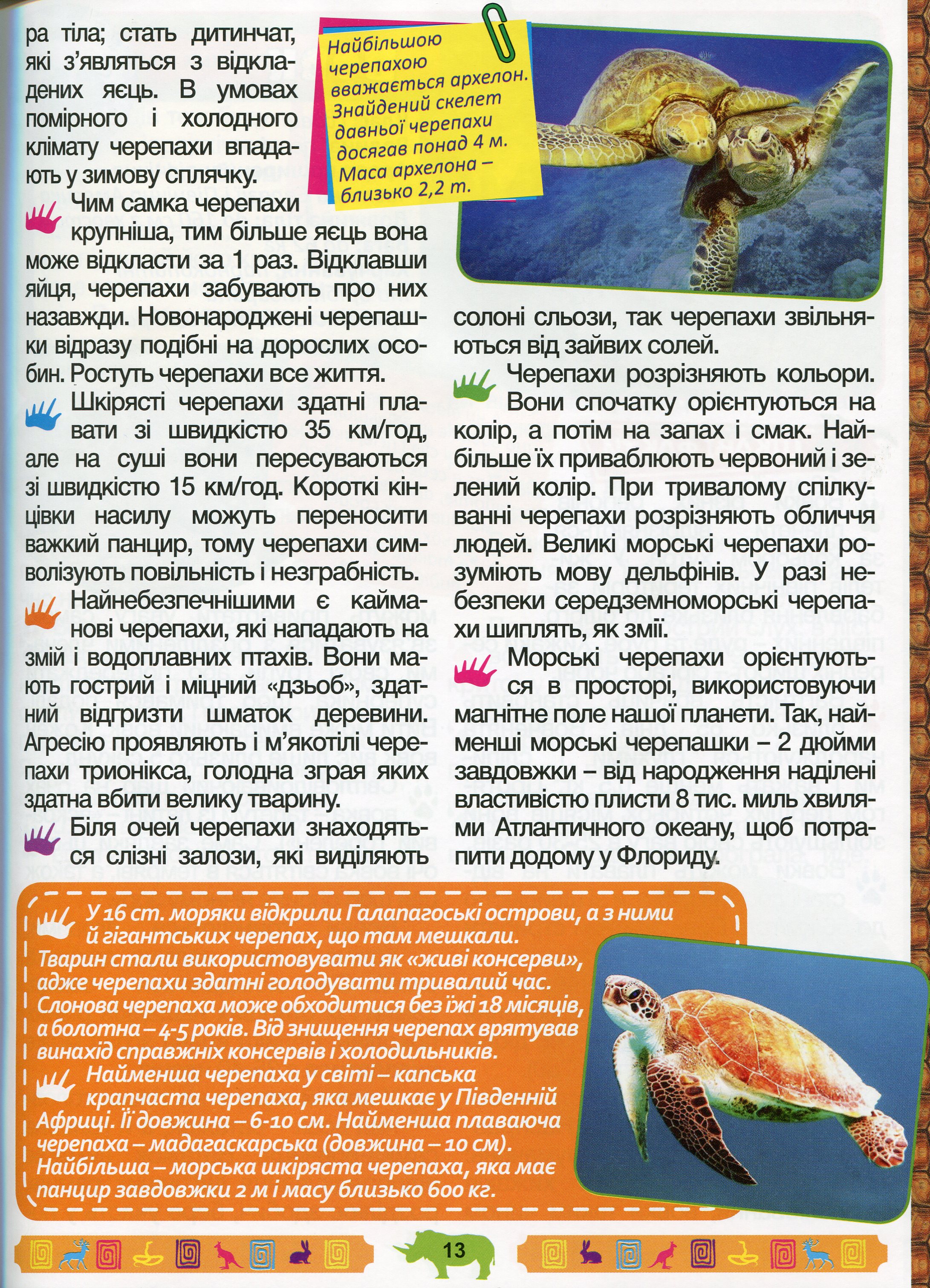 Енциклопедія про тварин. Дивовижні факти (Блакитна) — фото 16