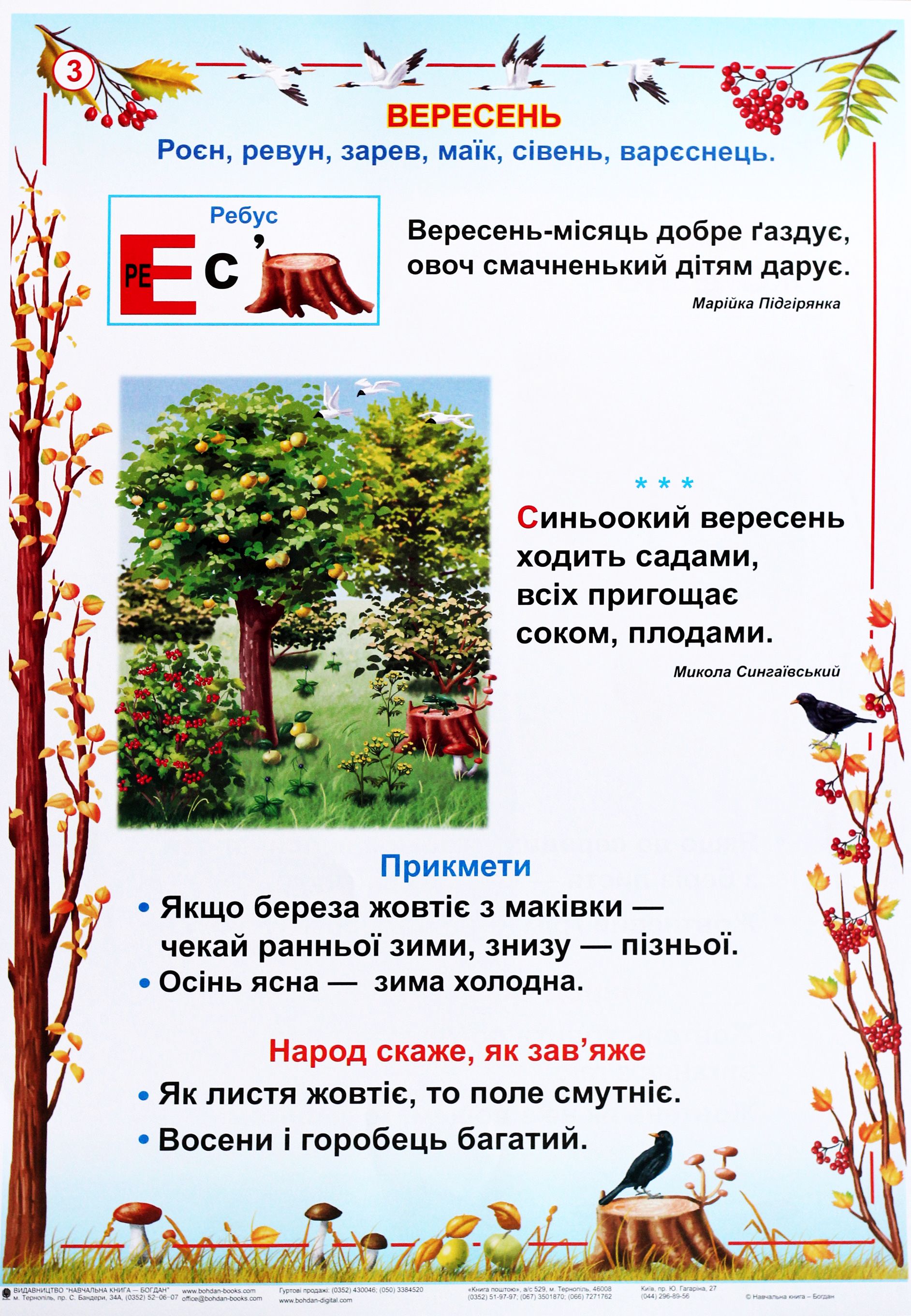 [object Object] «Я досліджую світ. Пори року. 1-2 класи. Таблиці», авторов Наталья Будная, Зоя Головко - фото №3 - миниатюра