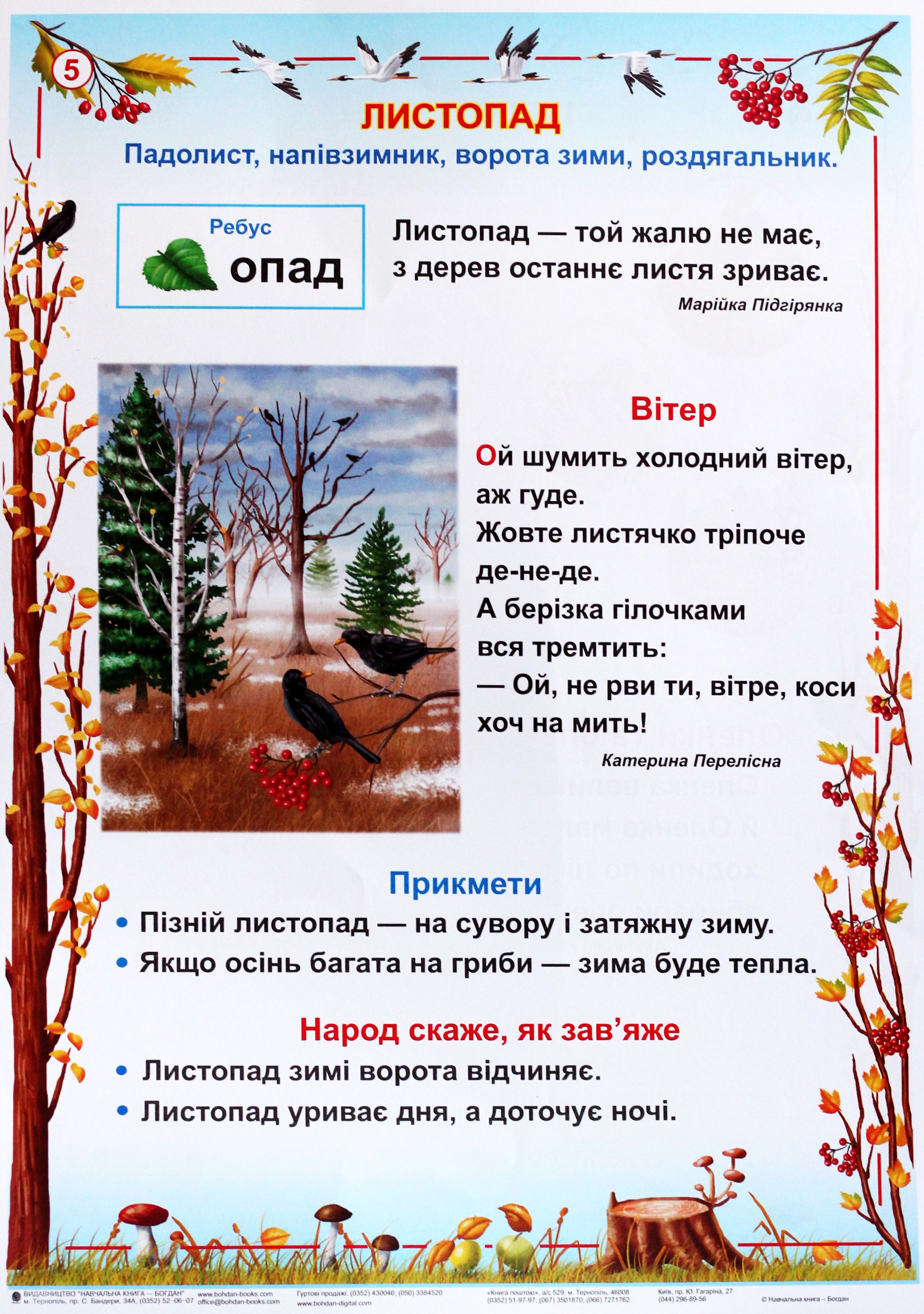 [object Object] «Я досліджую світ. Пори року. 1-2 класи. Таблиці», авторов Наталья Будная, Зоя Головко - фото №4 - миниатюра
