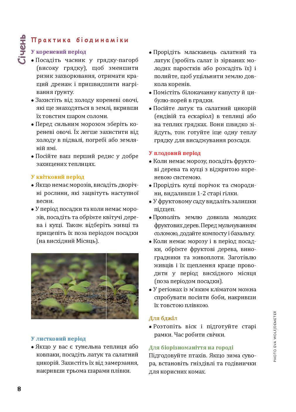 [object Object] «Біодинамічний календар 2024. Городництво, сільське господарство, бджільництво», автор Марія Тун - фото №5 - мініатюра