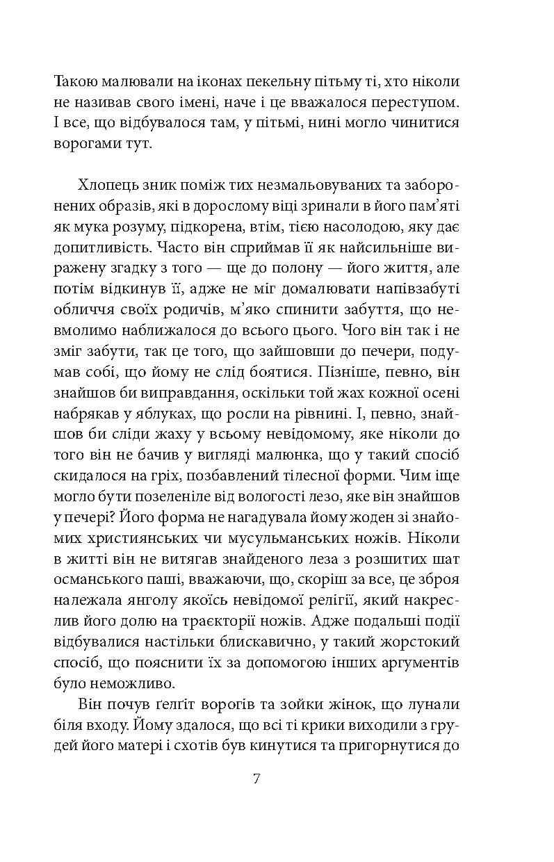 Життя Ізмаїла Ферика-паші. Шип у серце — фото 9