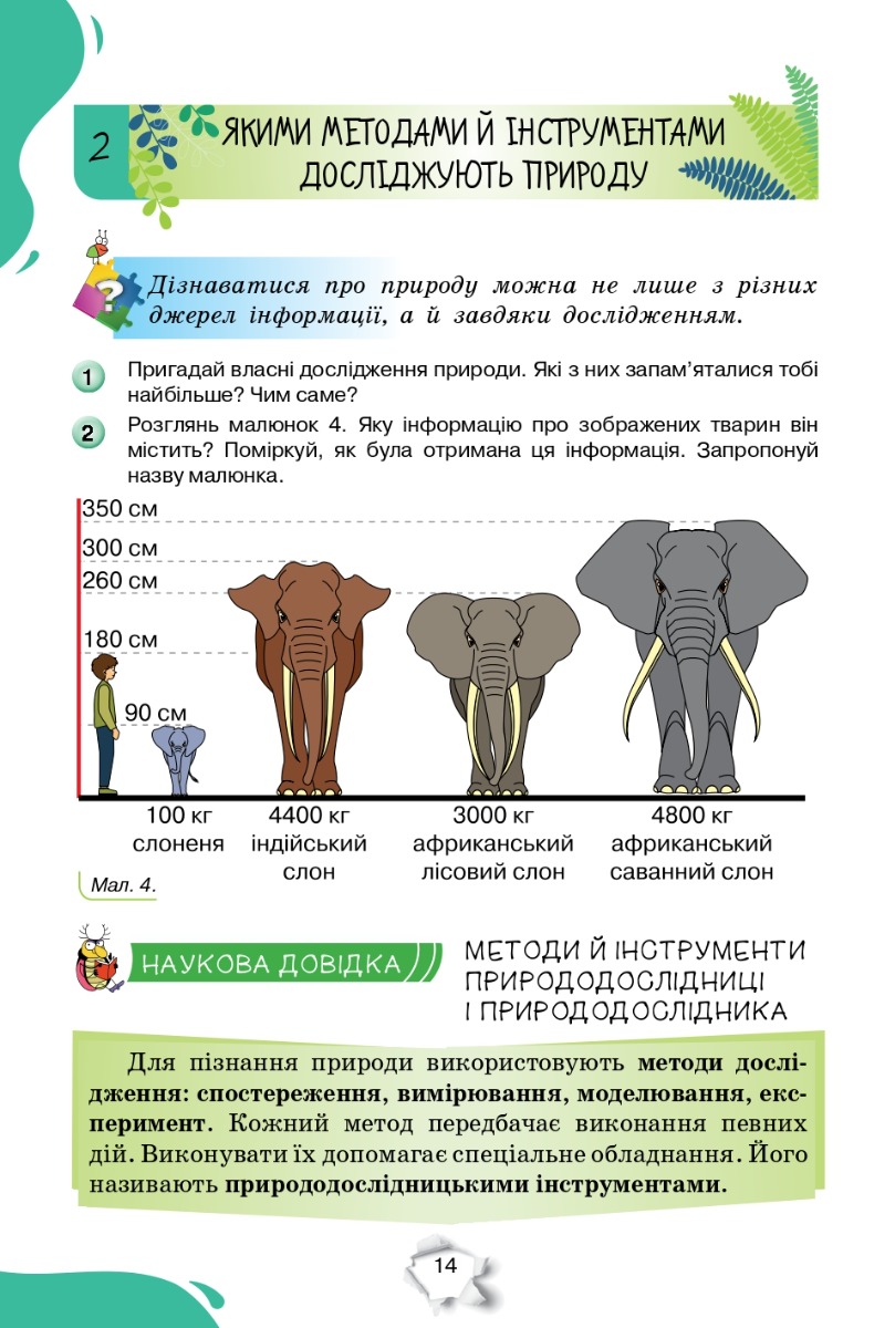 [object Object] «Пізнаємо Природу. 5 клас. Підручник», авторов Татьяна Коршевнюк, Ольга Ярошенко - фото №2 - миниатюра