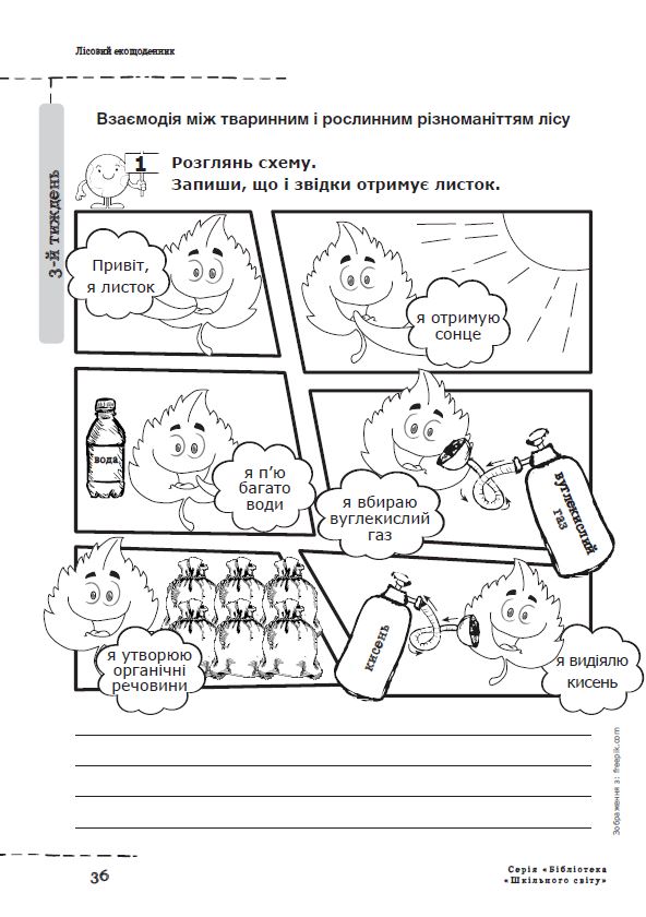 Лісовий екощоденник — фото 7