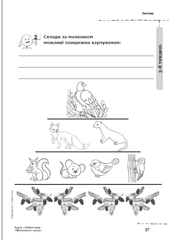 Лісовий екощоденник — фото 8