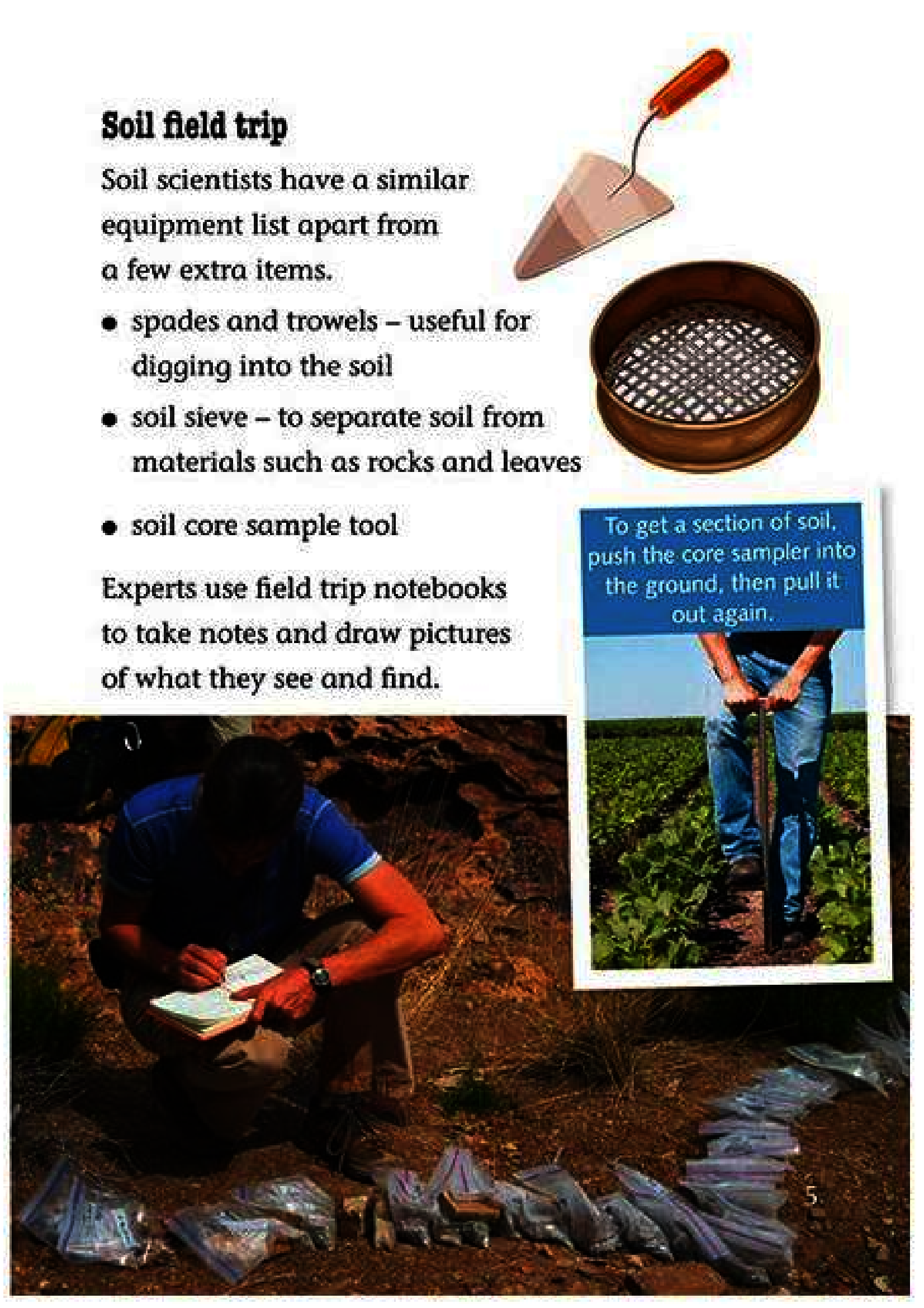 [object Object] «A Finders' Guide to Rocks, Fossils and Soils», автор Елісон Мілфорд - фото №3 - мініатюра