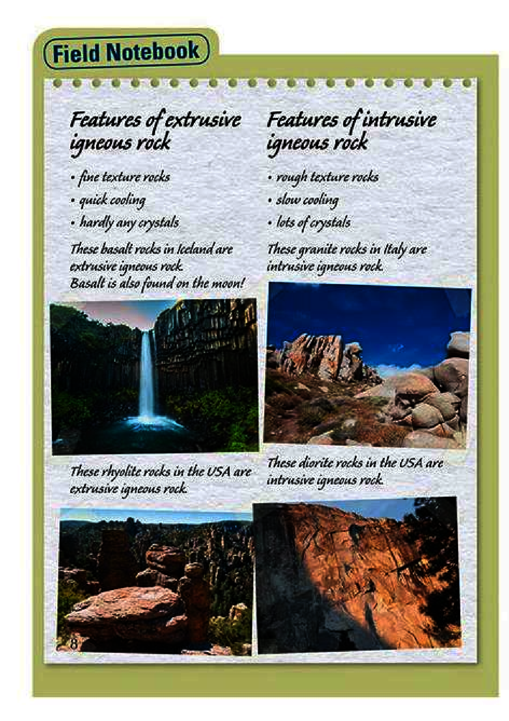 [object Object] «A Finders' Guide to Rocks, Fossils and Soils», автор Елісон Мілфорд - фото №4 - мініатюра