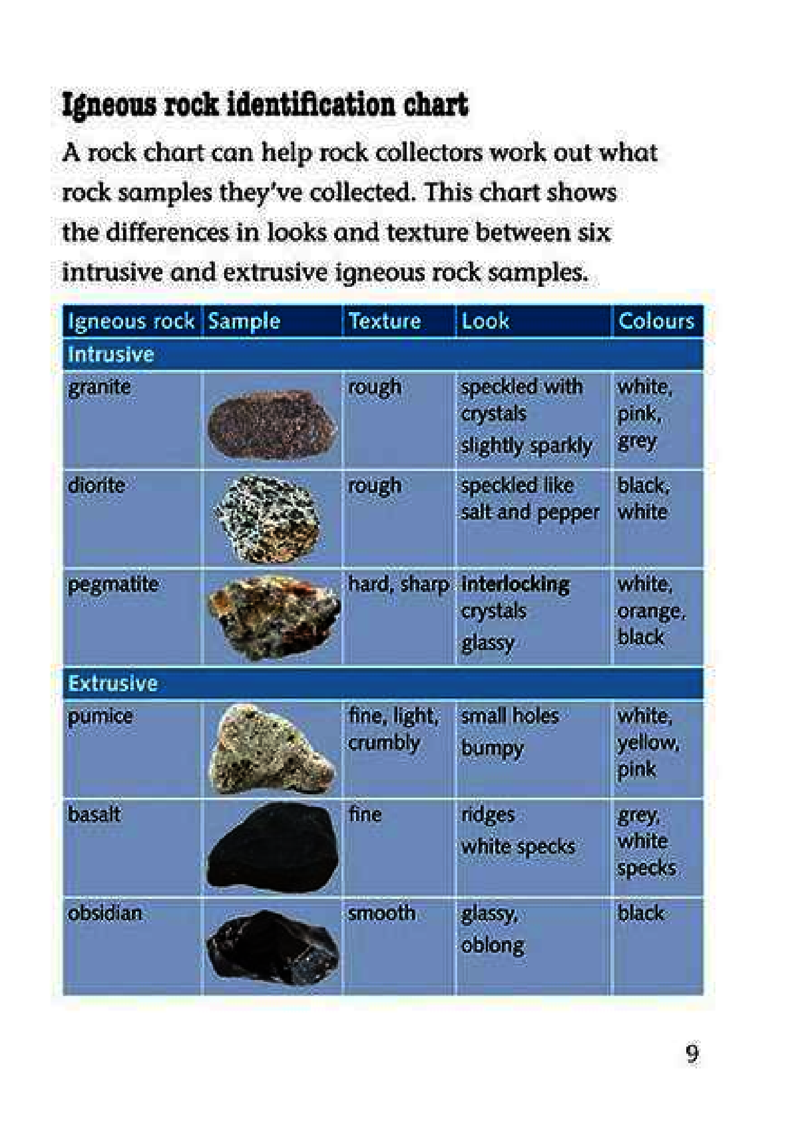 [object Object] «A Finders' Guide to Rocks, Fossils and Soils», автор Елісон Мілфорд - фото №5 - мініатюра