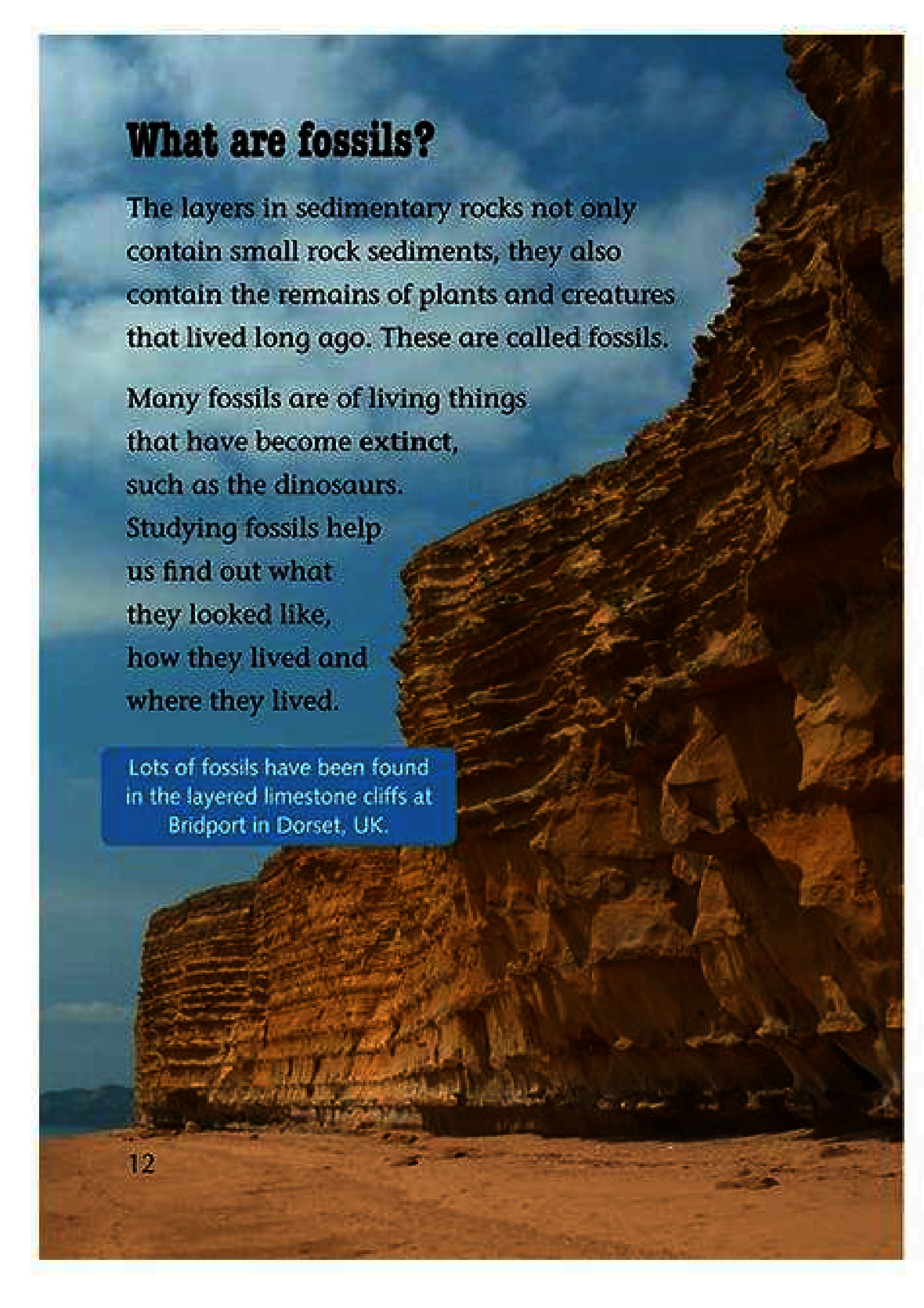 [object Object] «A Finders' Guide to Rocks, Fossils and Soils», автор Елісон Мілфорд - фото №6 - мініатюра