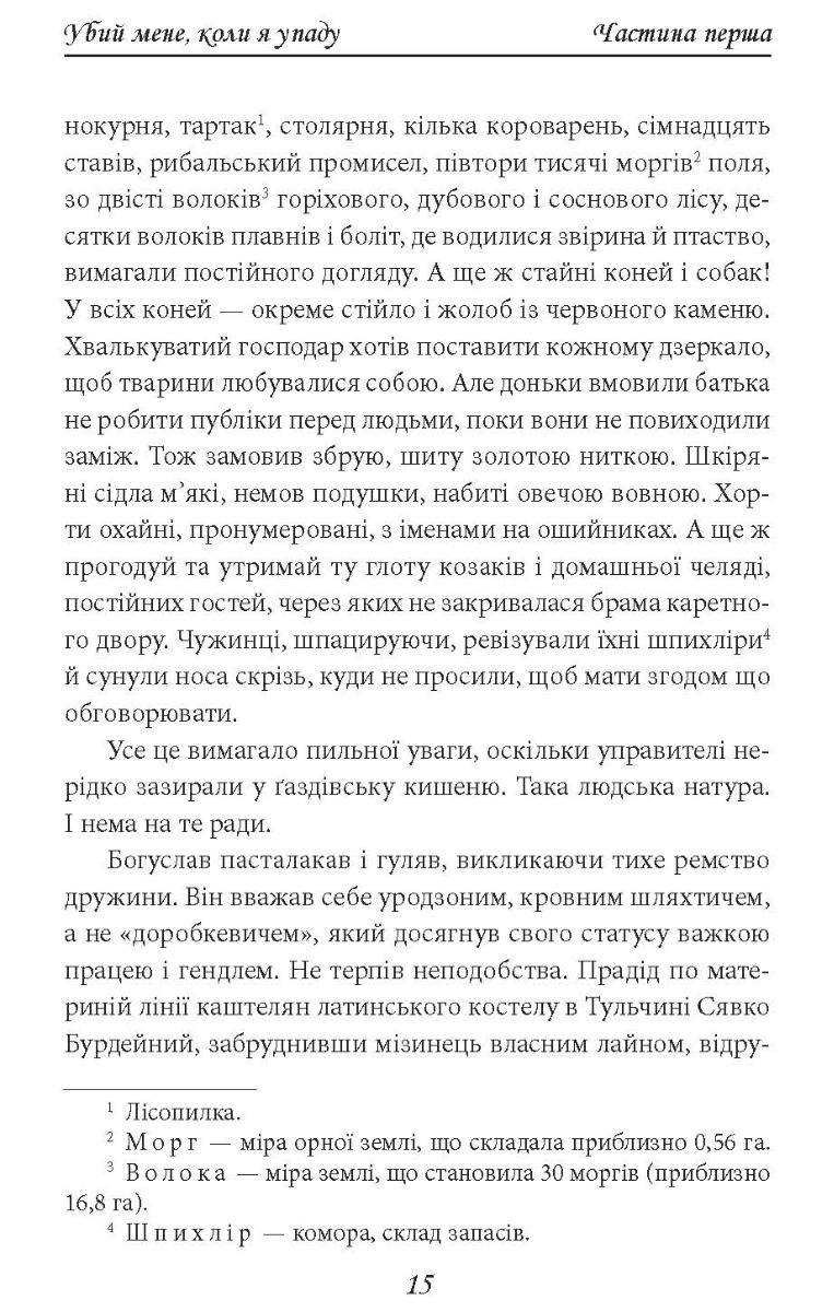 [object Object] «Убий мене, коли я упаду. Нотатки про палаючу Європу», автор Василий Добрянский - фото №2 - миниатюра