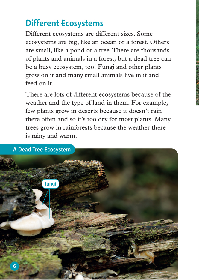 [object Object] «Oxford Read and Discover: Level 6: Wonderful Ecosystems», авторов Louise Spilsbury, Richard Spilsbury - фото №6 - миниатюра